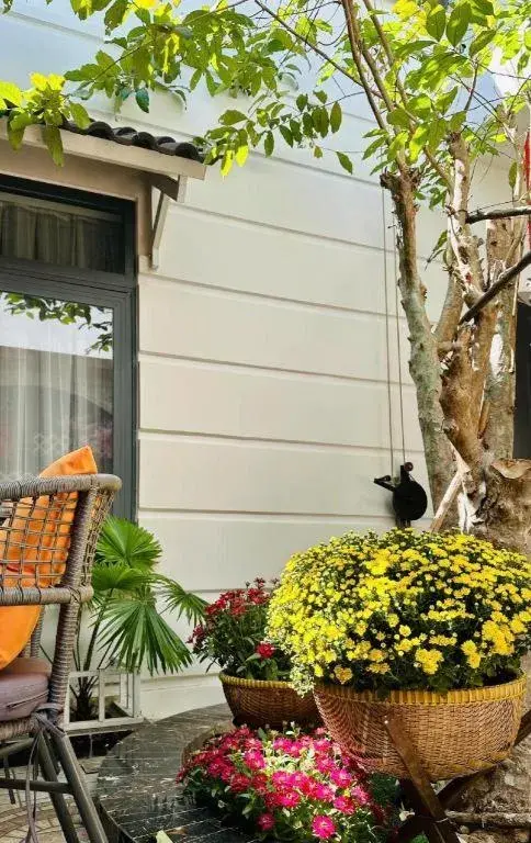 Hoang Mai Hotel Hoang Mai Hotel