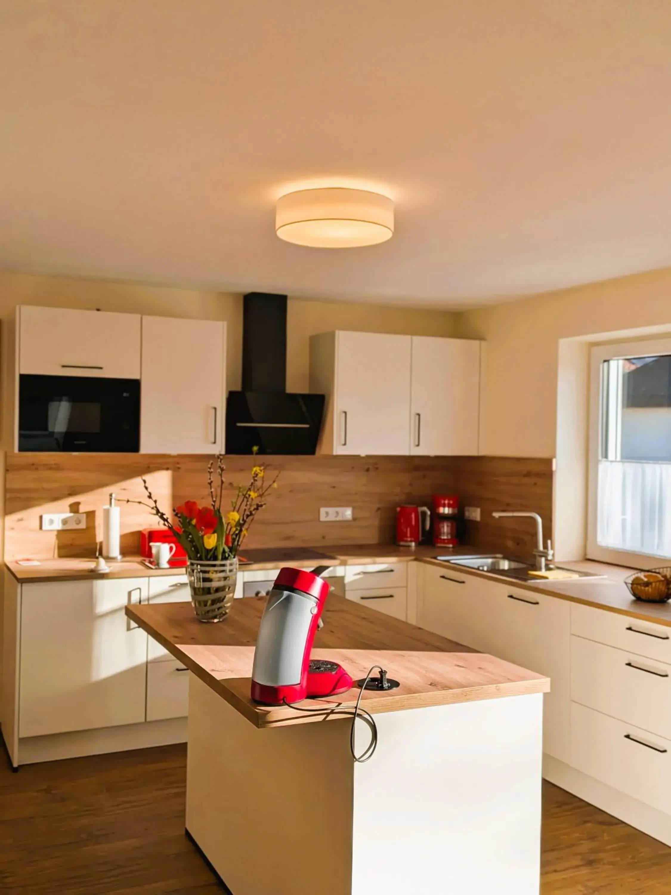 Haus am Mühlenweg - modern und lichtdurchflutet Haus am Mühlenweg - modern und lichtdurchflutet