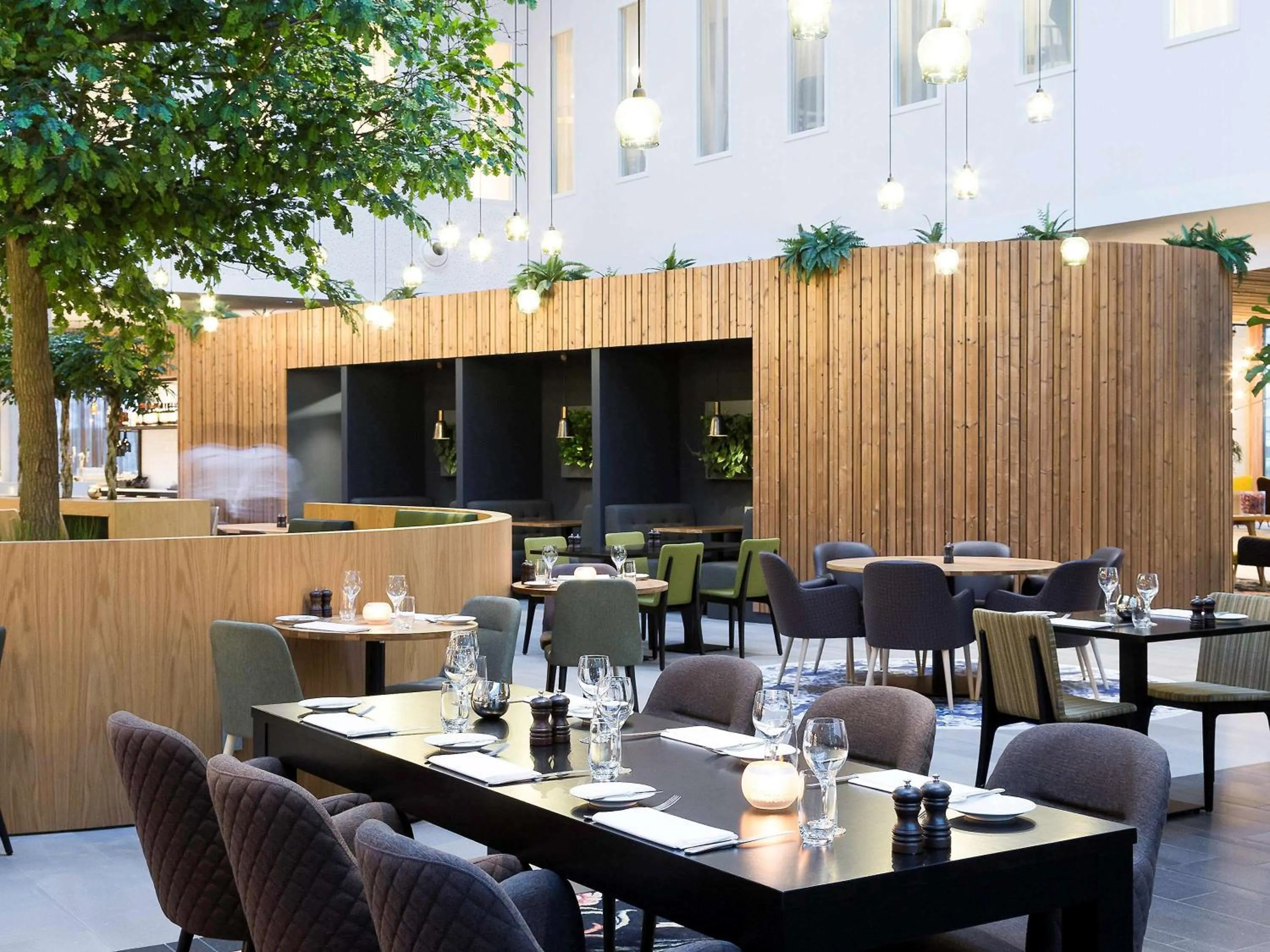 Restaurant/places to eat in Novotel Amsterdam Schiphol Airport