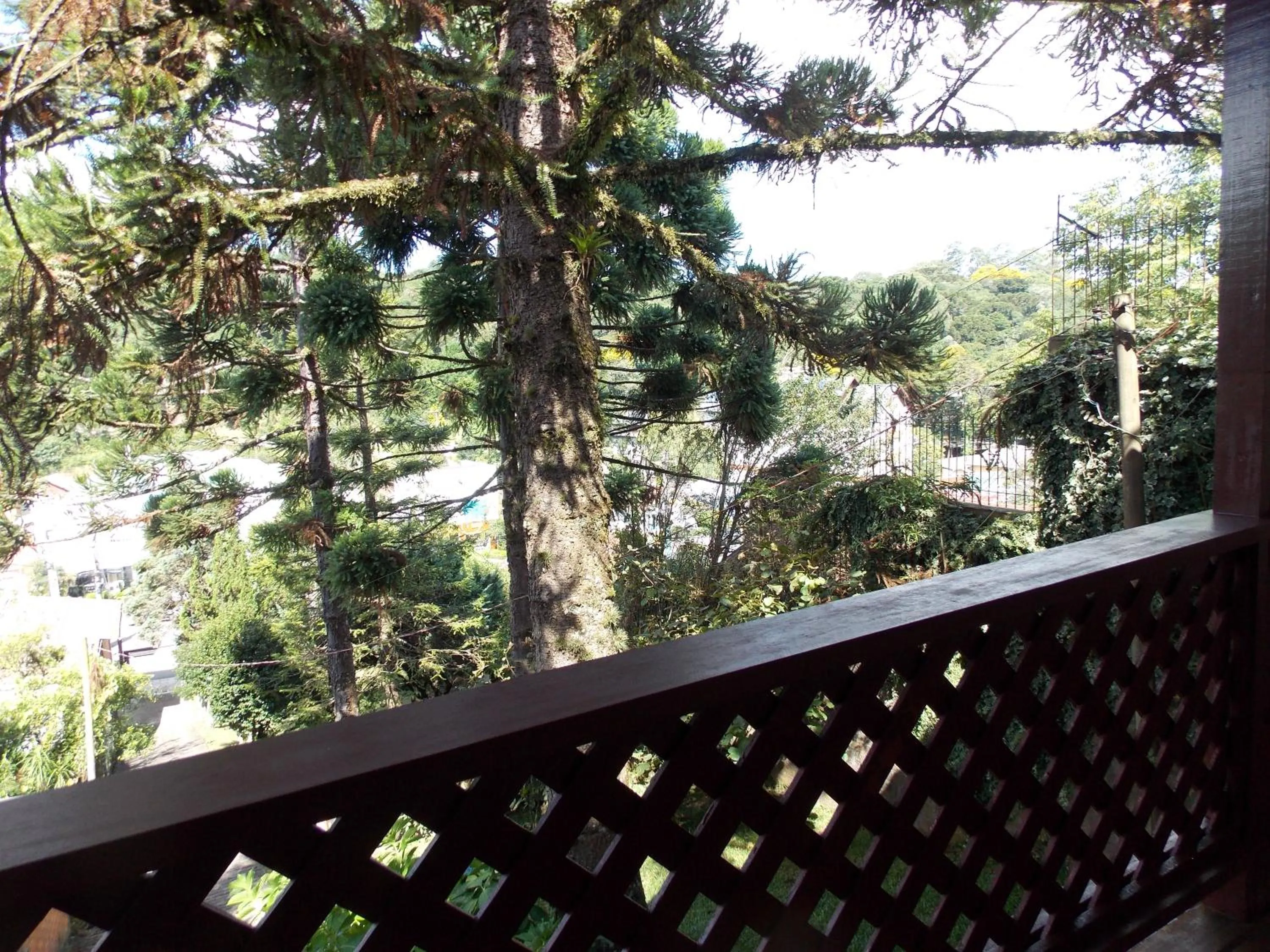 Balcony/Terrace in Casa da Borges