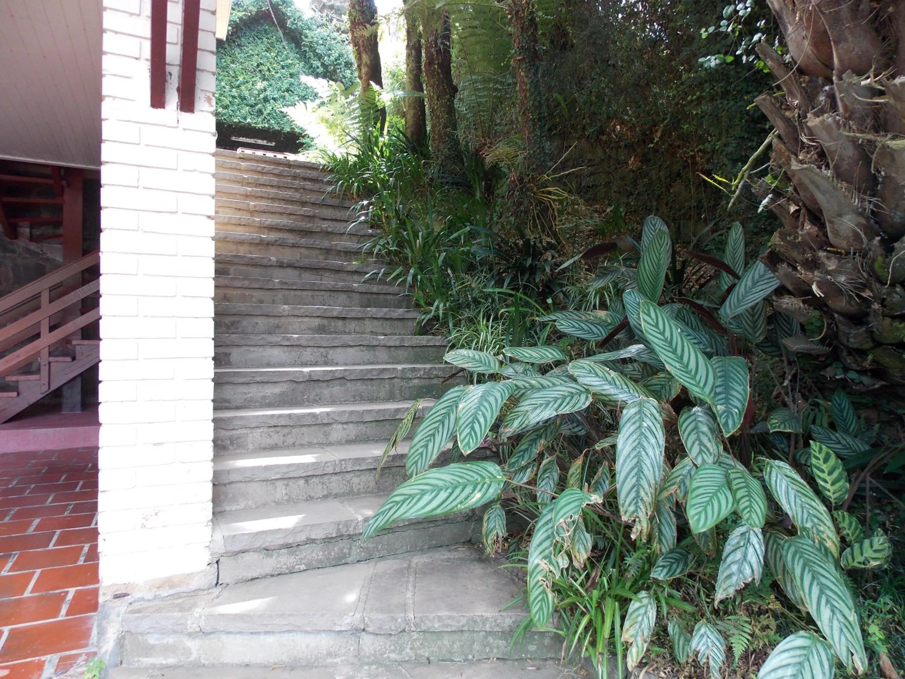 Facade/entrance in Casa da Borges