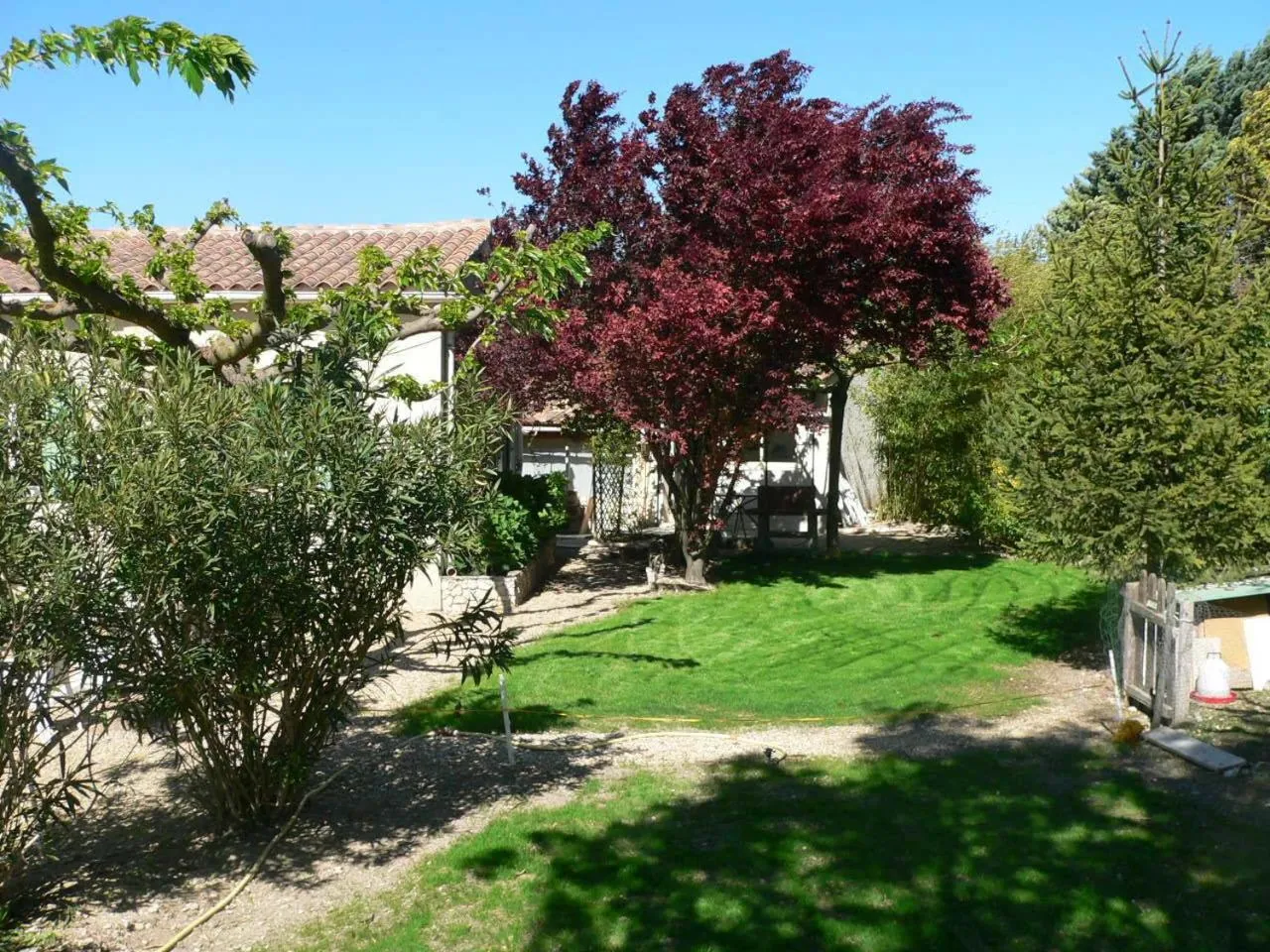 Garden in Chambres d'Hôtes Chez Cécile à Lagnes