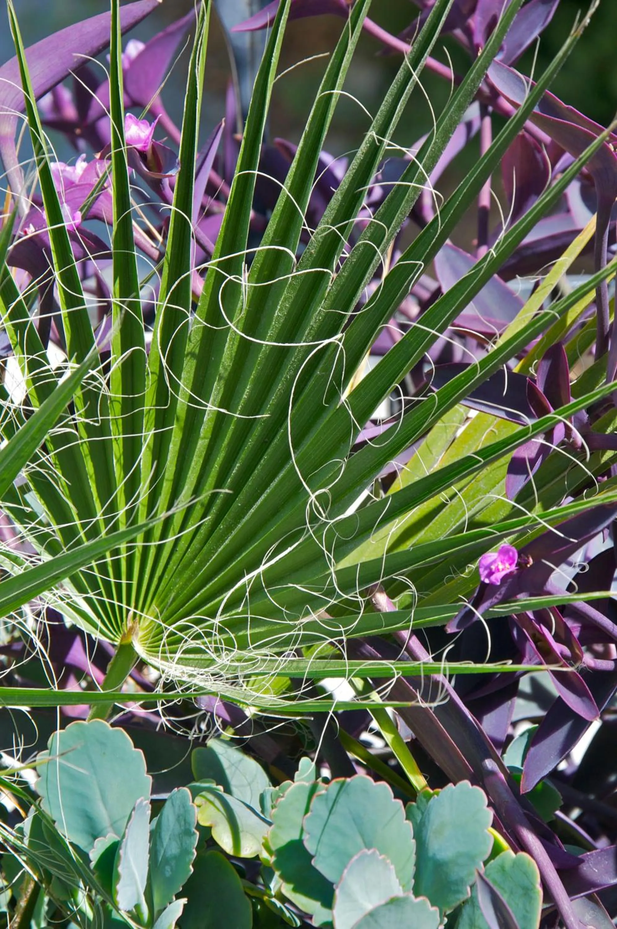 Day in Ino Hotel & Suites