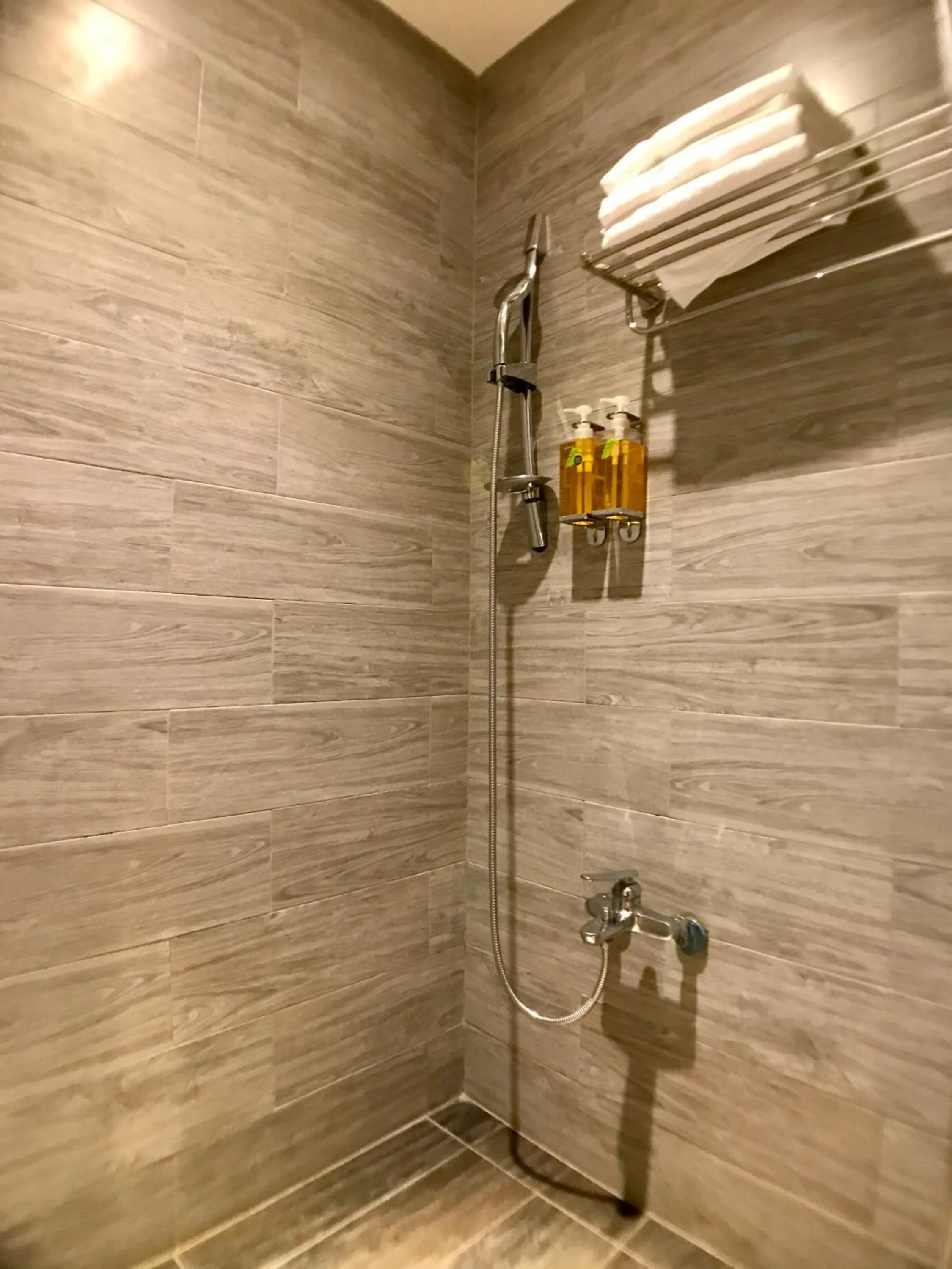 Shower in Martin Wales Inn