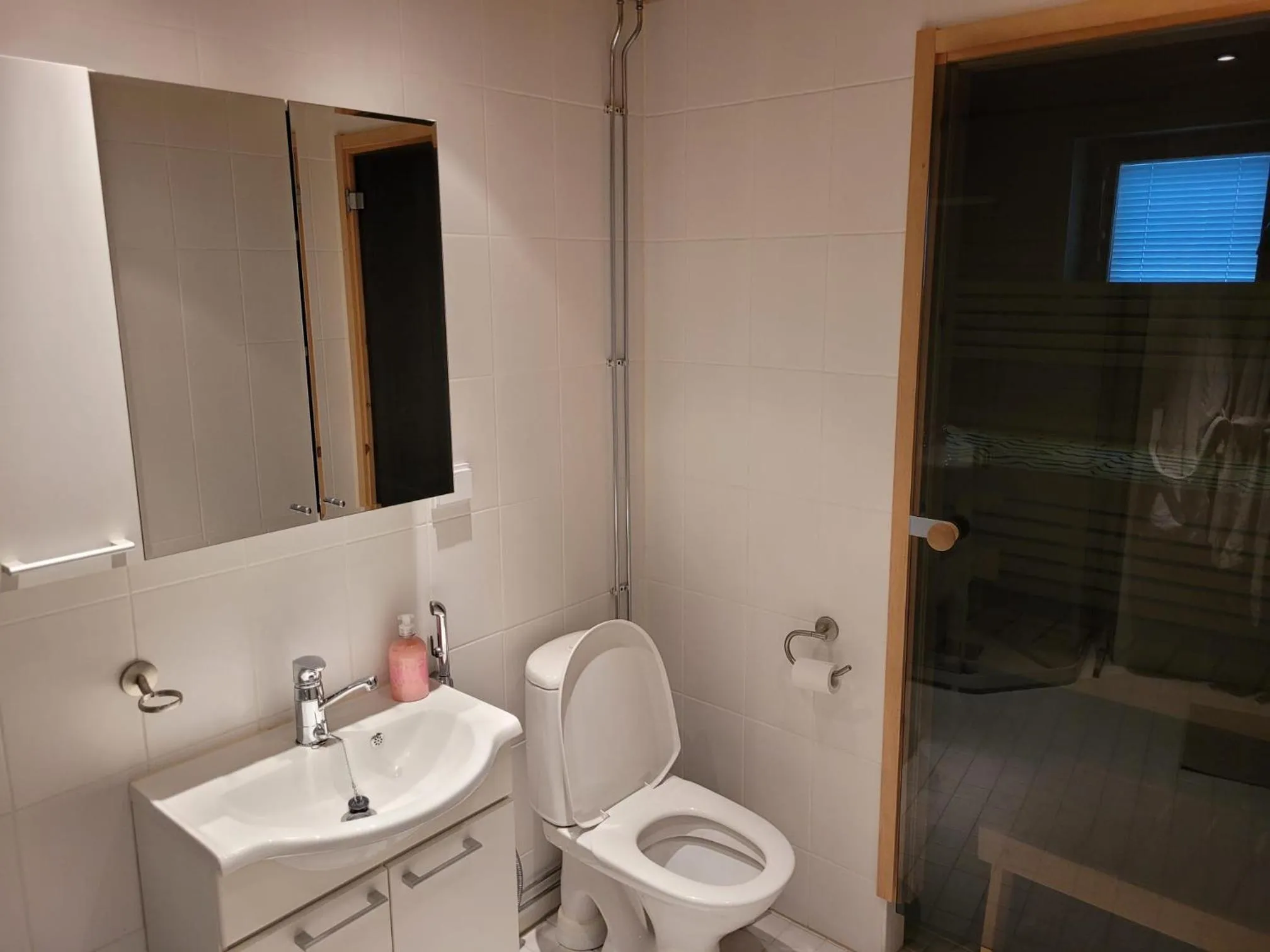 Toilet in Aparthotel LeviStar