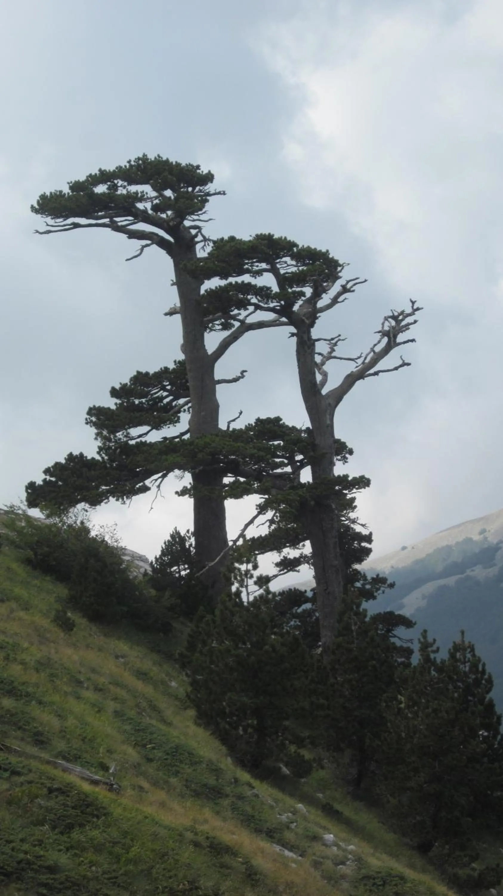Nearby landmark in B&B Le Ginestre