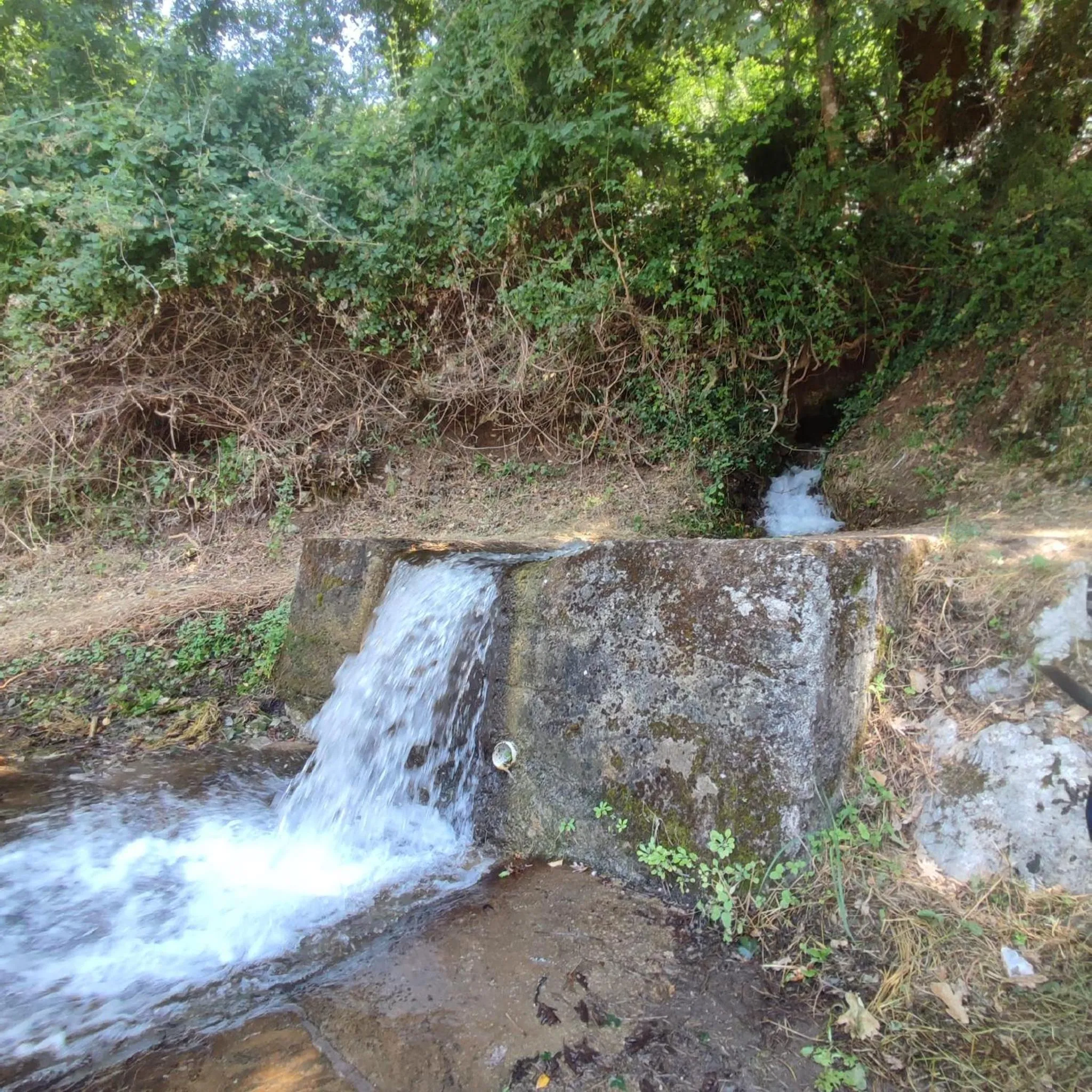 Nearby landmark in B&B Le Ginestre