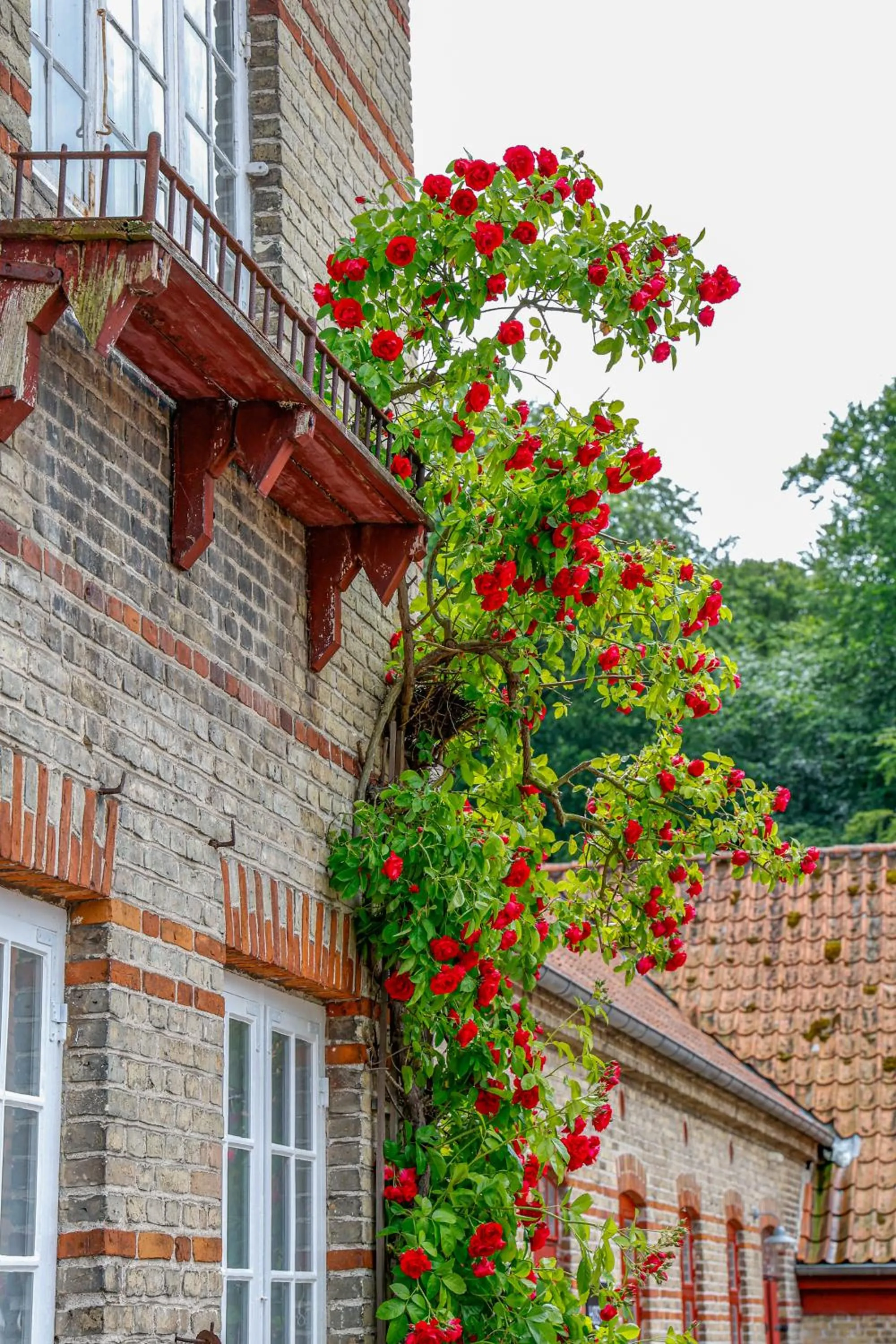 Property building in Lundsgaard Gods Badehotel
