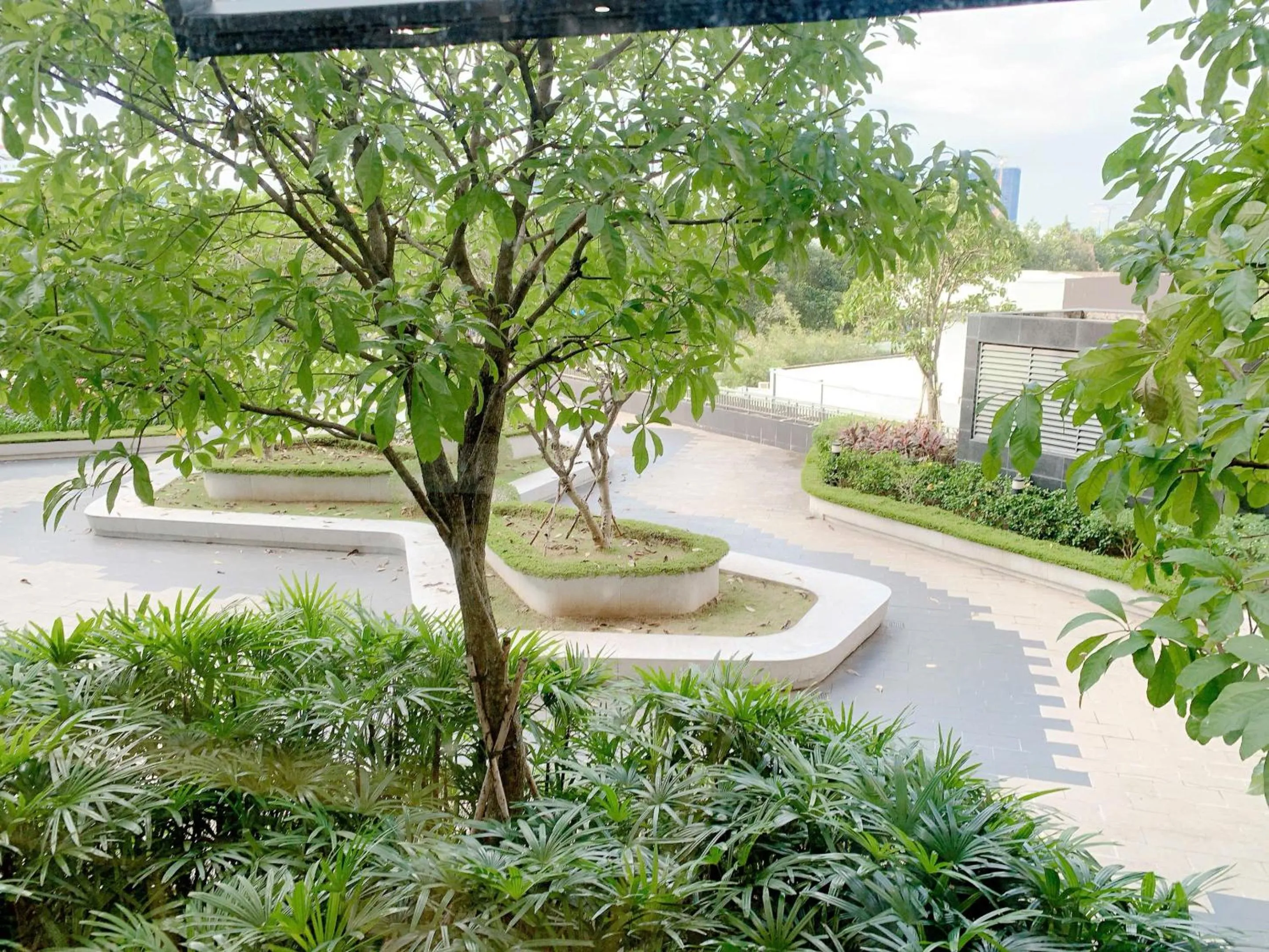 Day in The Sun Avenue Serviced Apartment