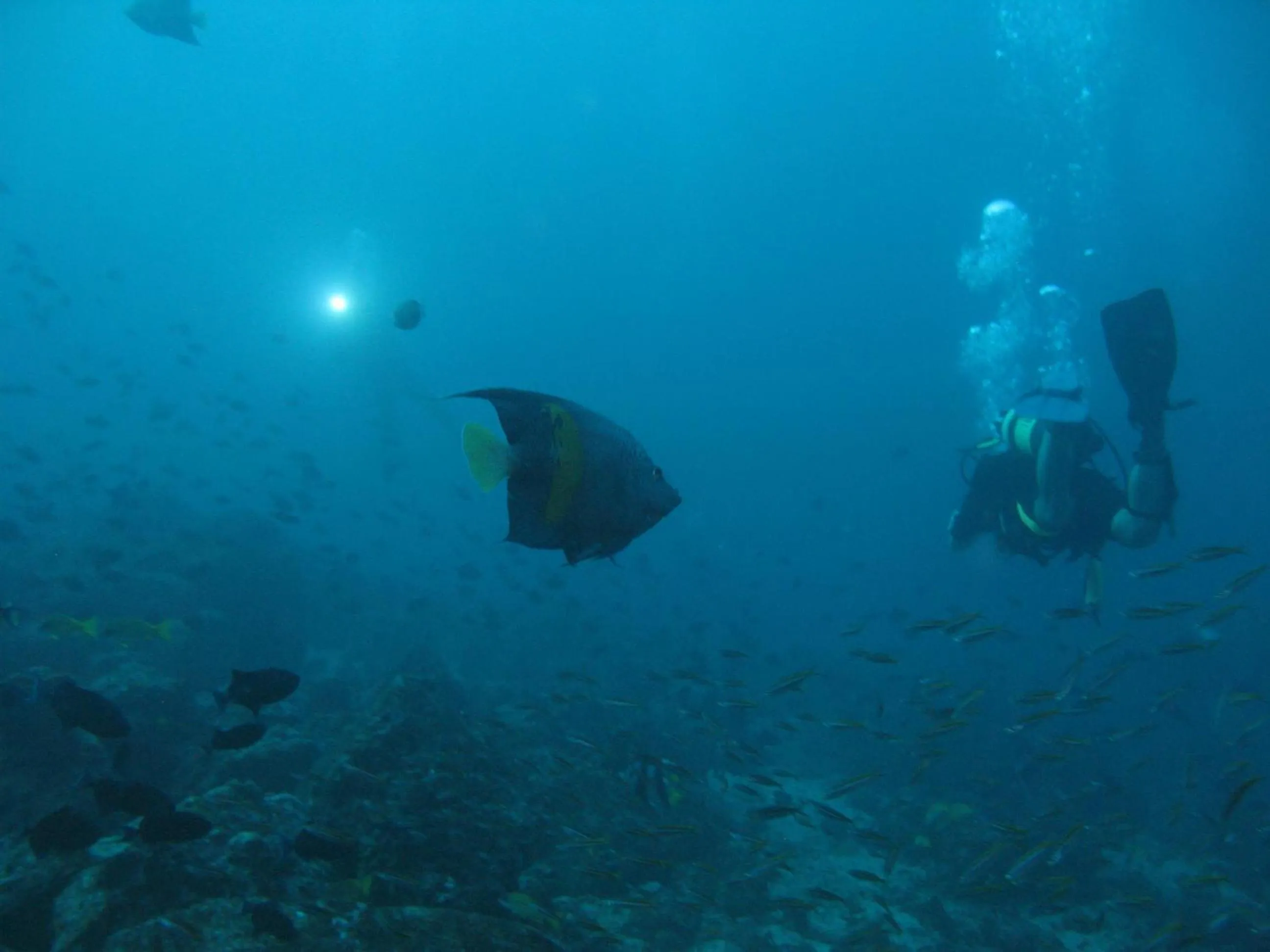 Location in Djibouti Palace Kempinski