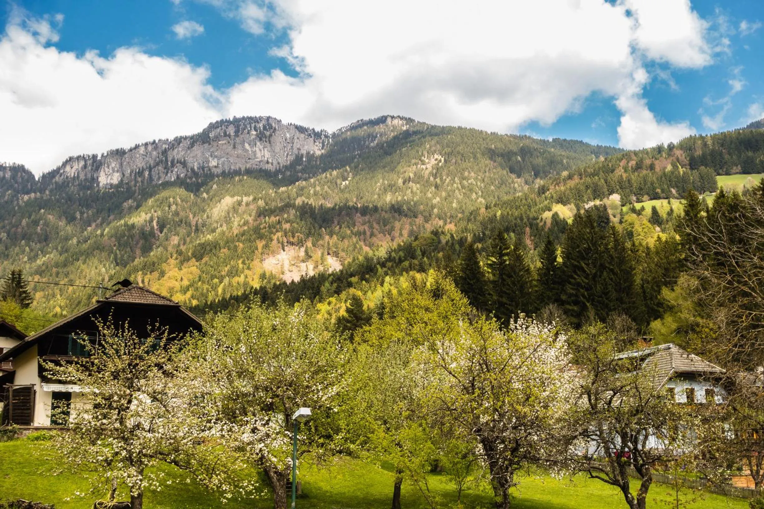 Mountain view in Haus Sieben - Singer Lydia