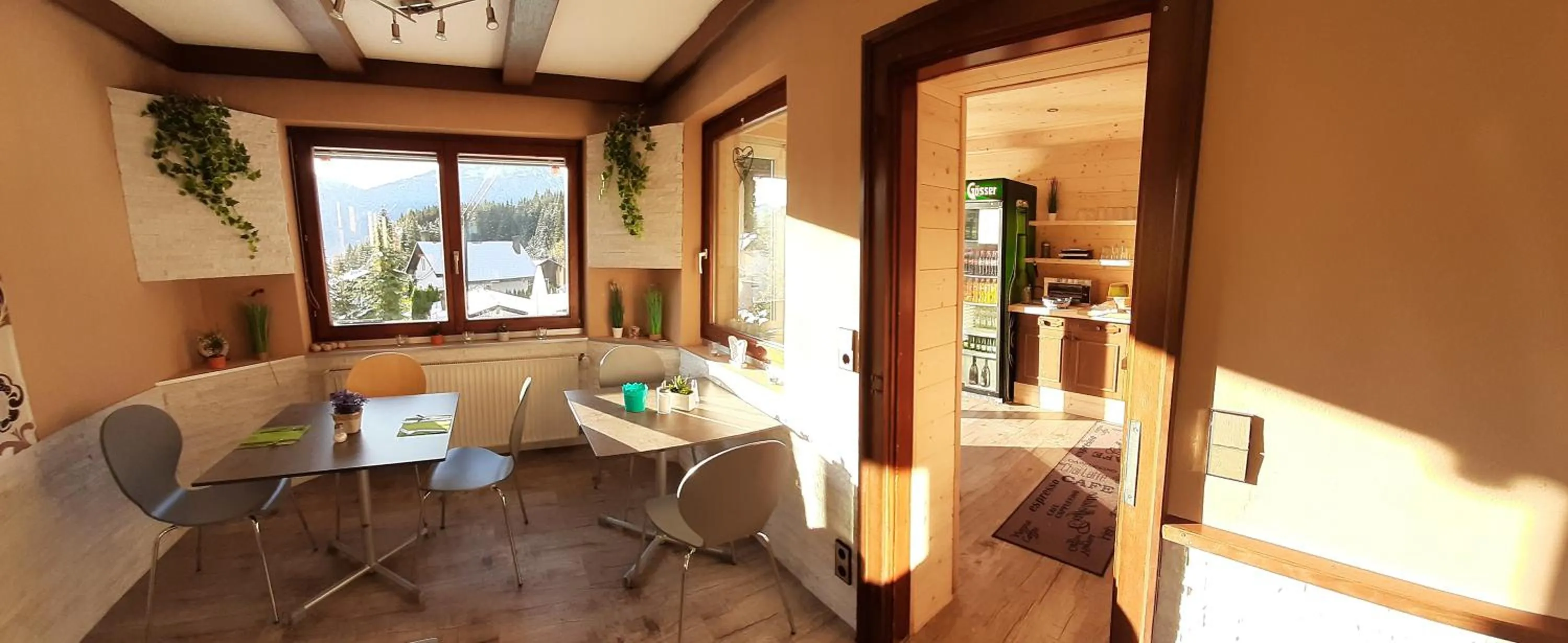 Internal: Not applicable to any particular room in Haus Sieben - Singer Lydia