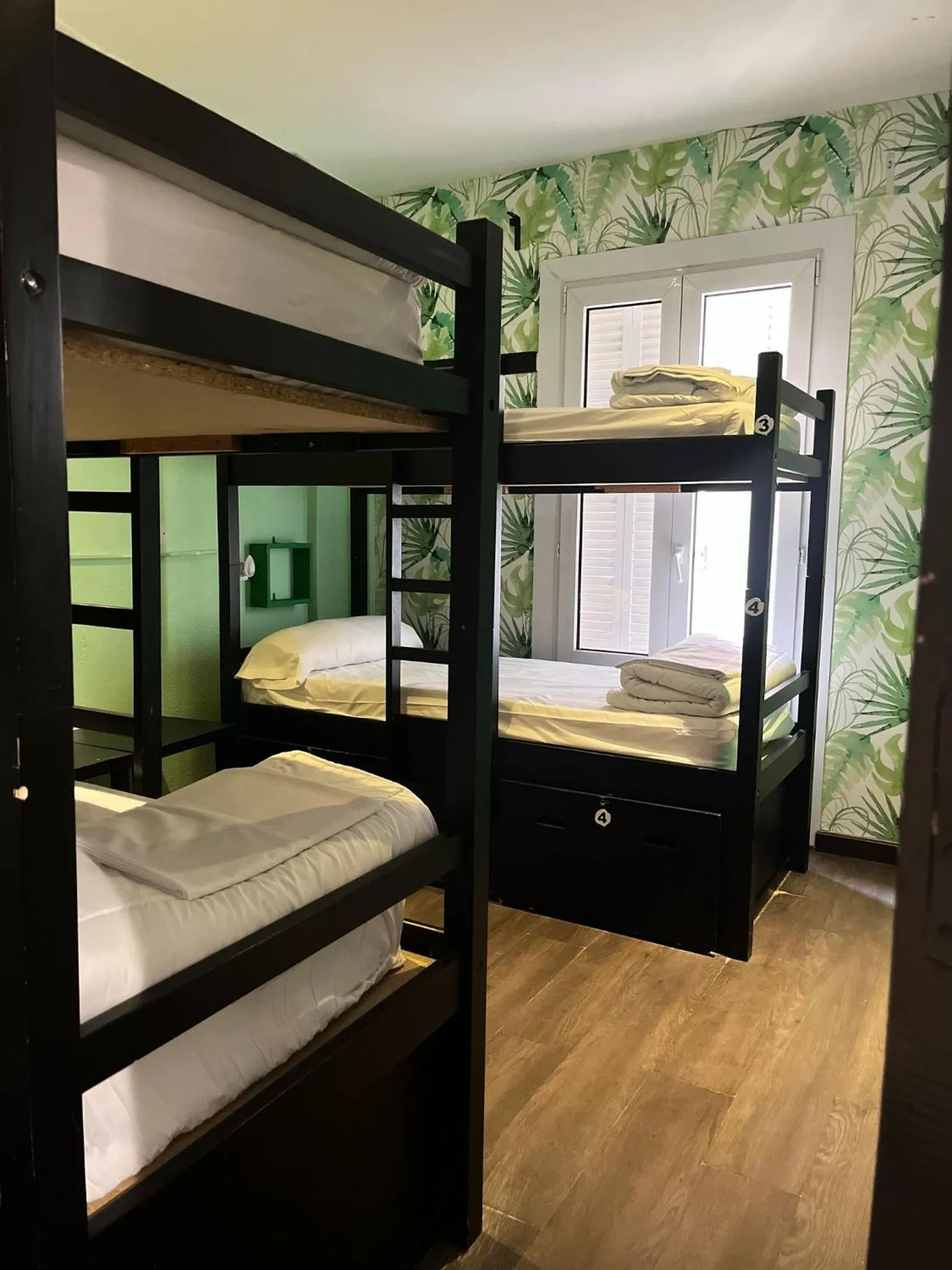 bunk bed, Bed in Oasis Backpackers' Toledo