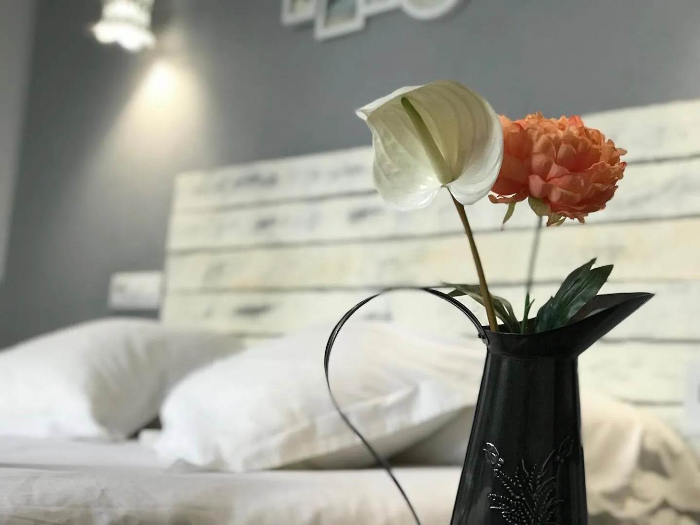 Bed in Oasis Backpackers' Toledo