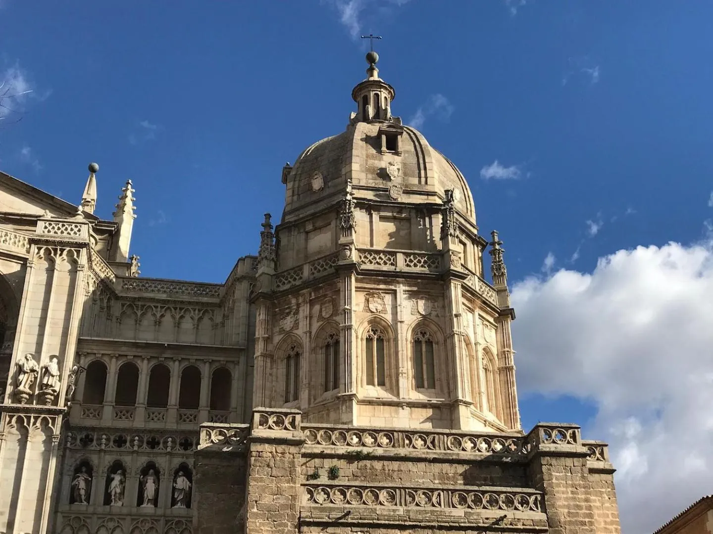 Other in Oasis Backpackers' Toledo