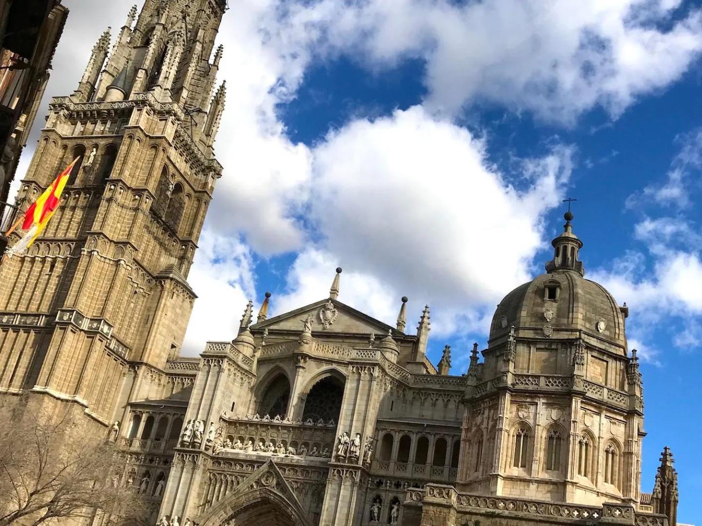 Other in Oasis Backpackers' Toledo