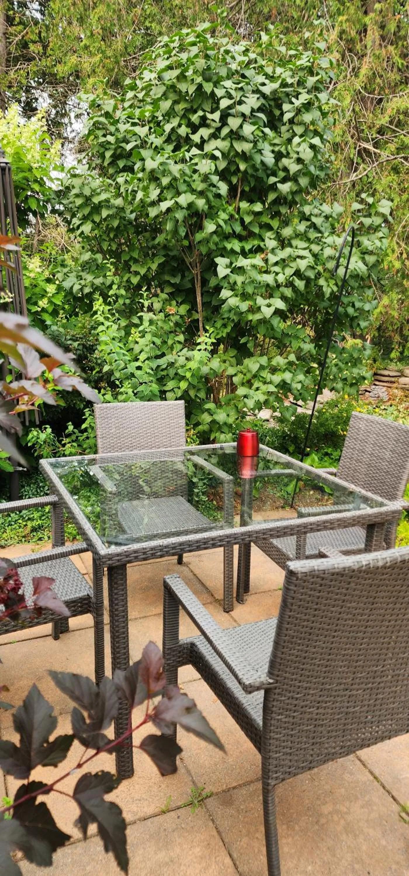 Patio in Cedar Drive Inn