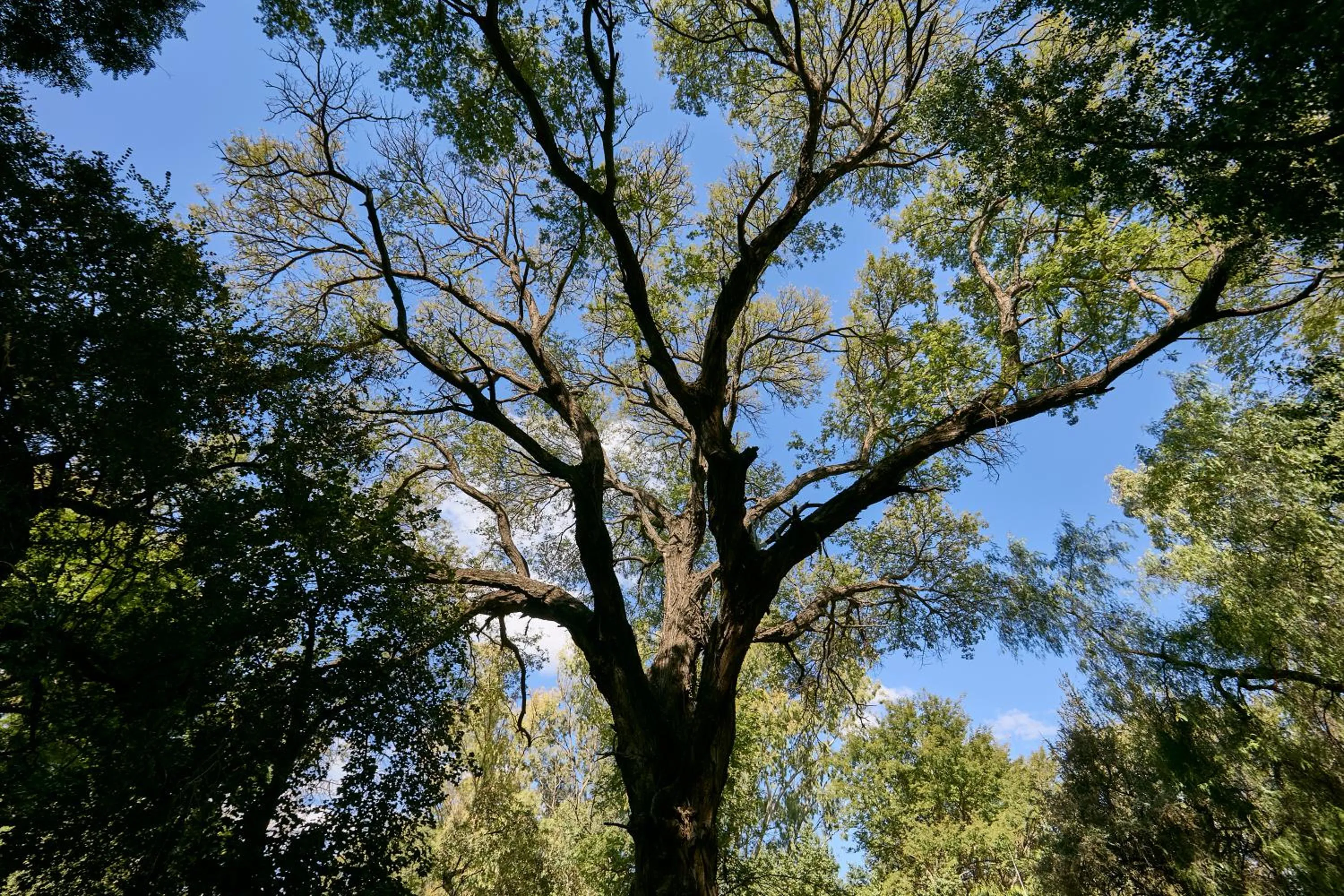 Day in Cresta Marang Gardens Hotel