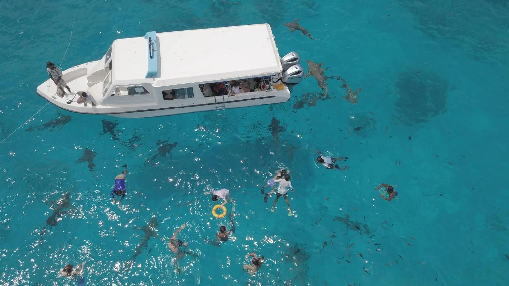 Activities in Ocean Pearl