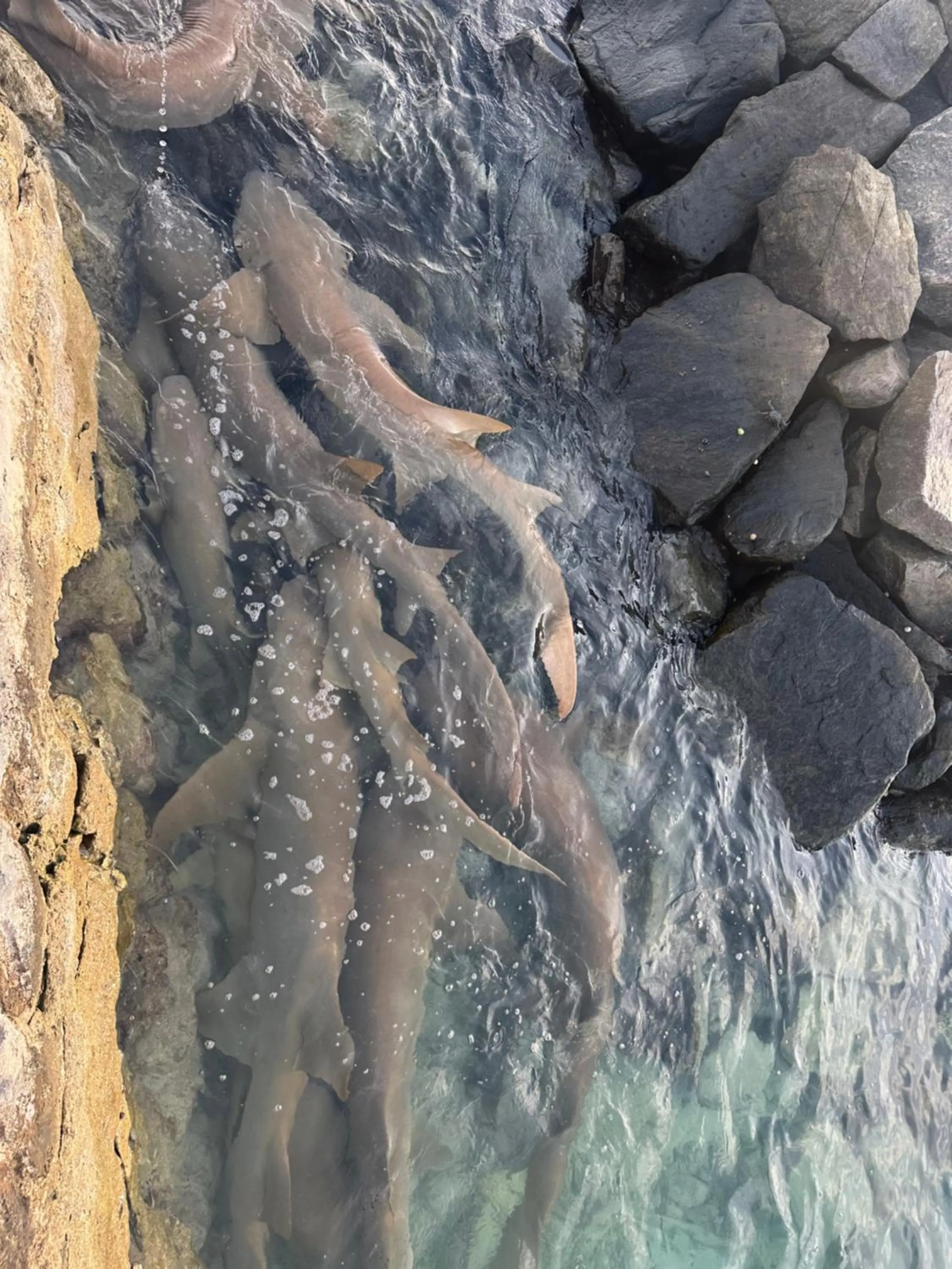 Natural landscape in Ocean Pearl