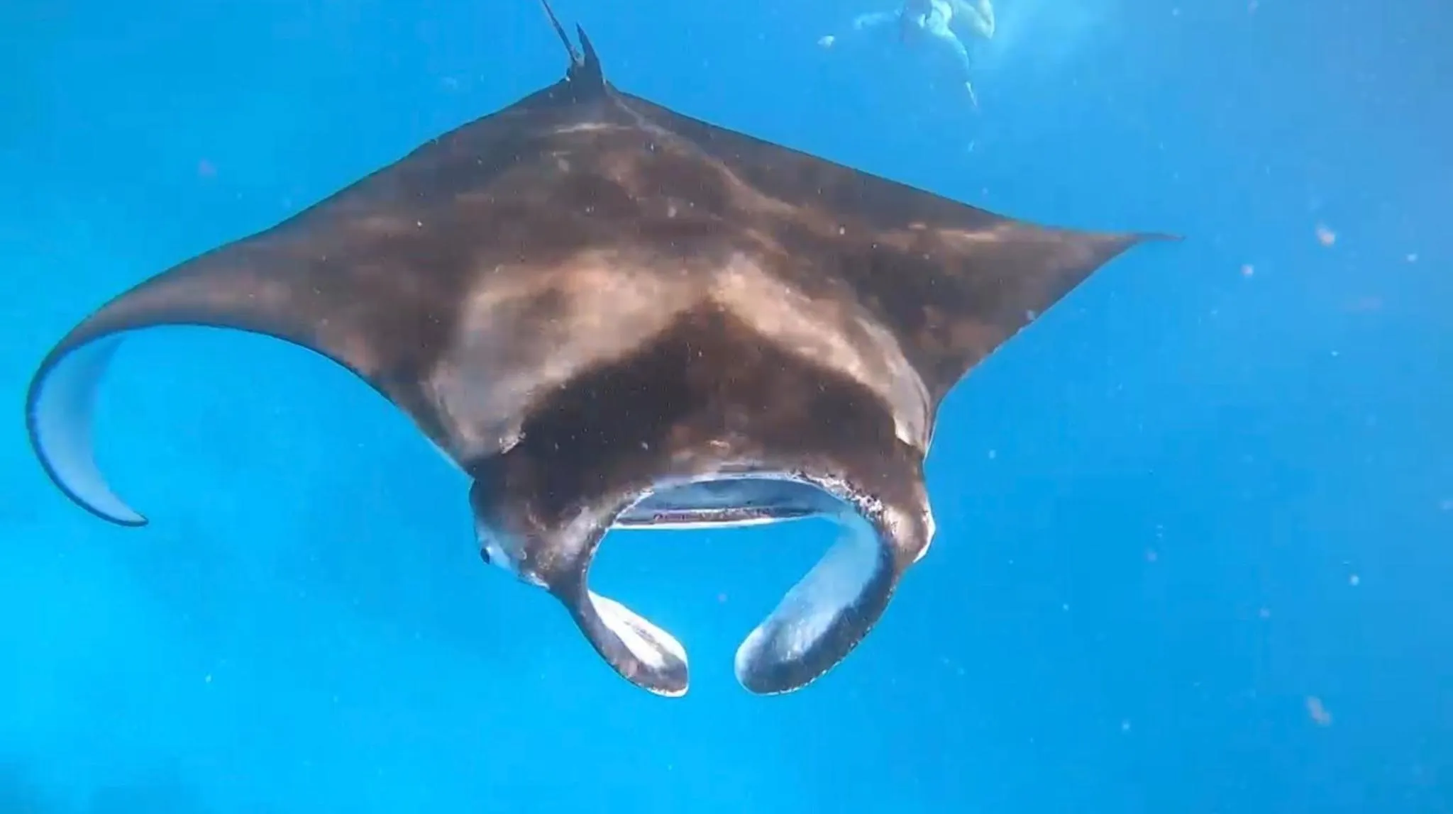 Activities in Ocean Pearl