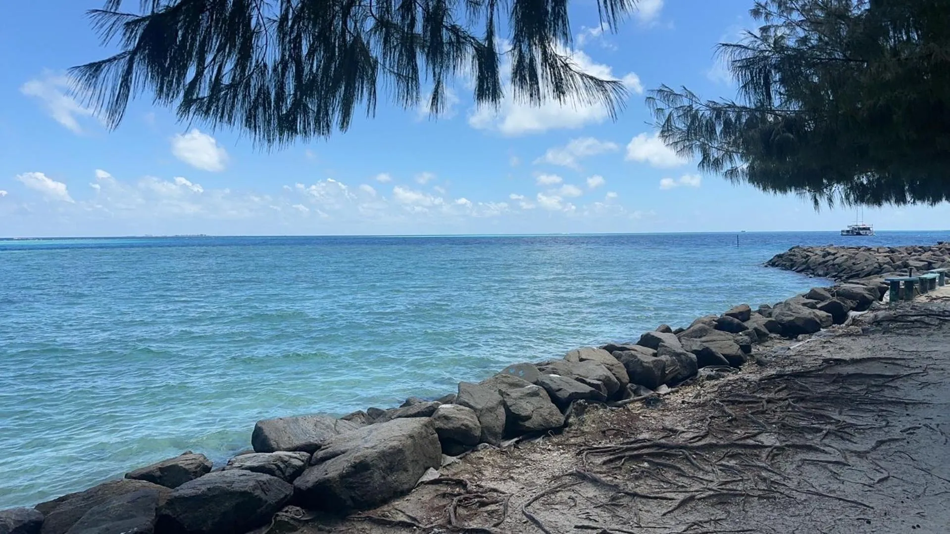 Natural landscape in Ocean Pearl