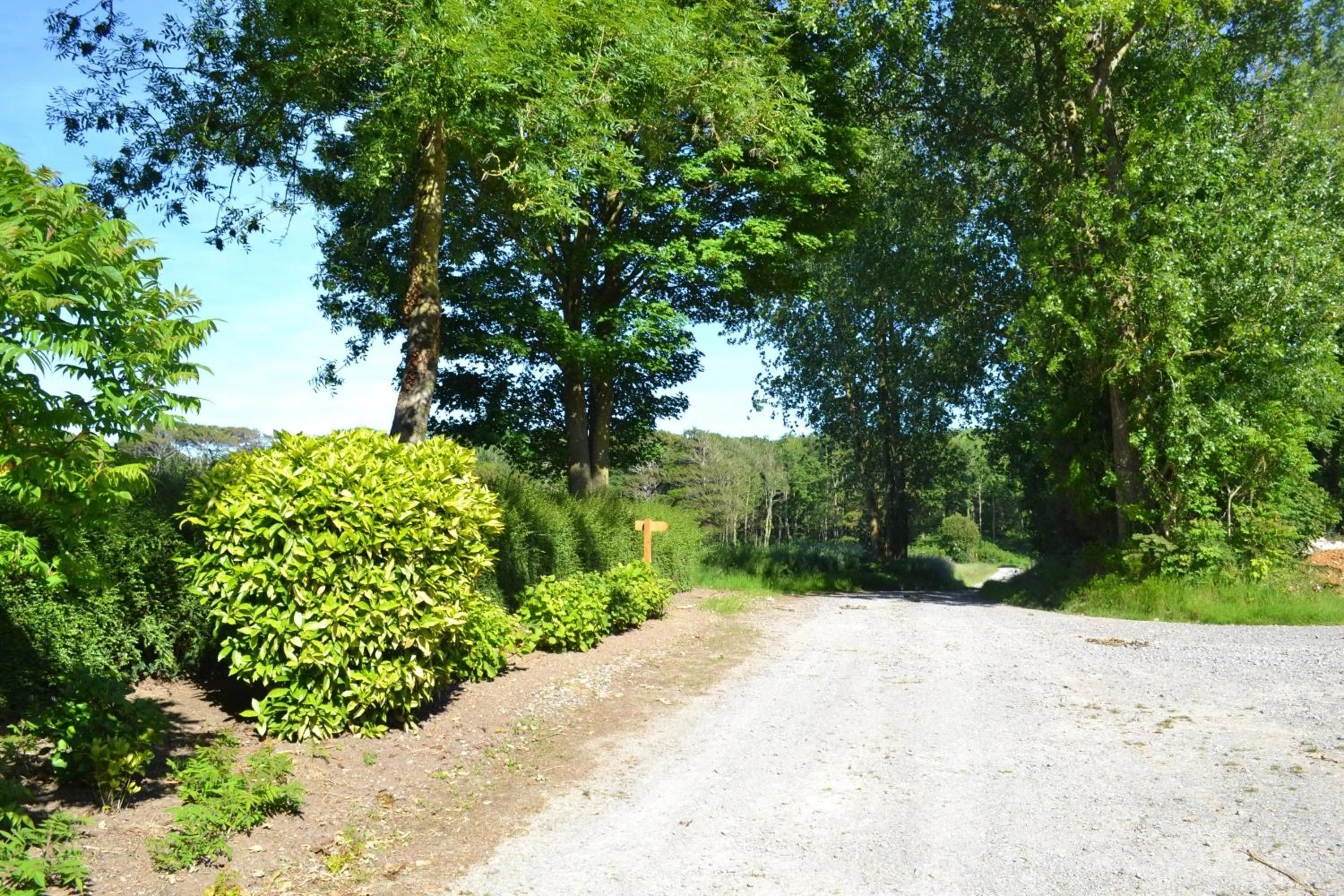 View (from property/room) in Ferme "les Flaquettes"
