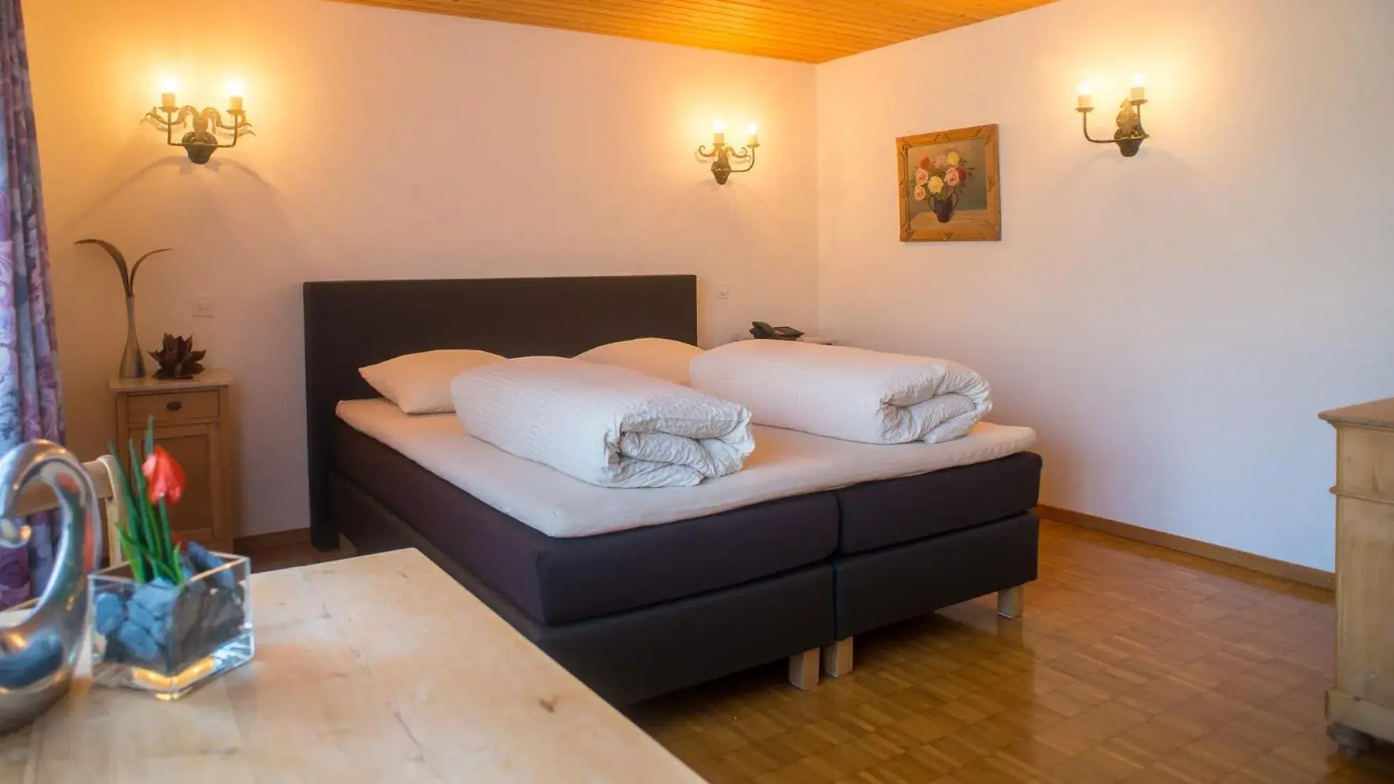 Double Room - single occupancy in Hotel Badhof Double Room - single occupancy in Hotel Badhof
