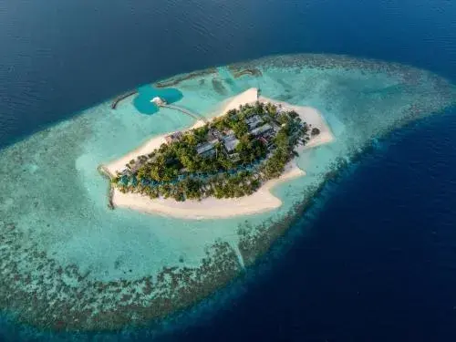 Eri Maldives Eri Maldives