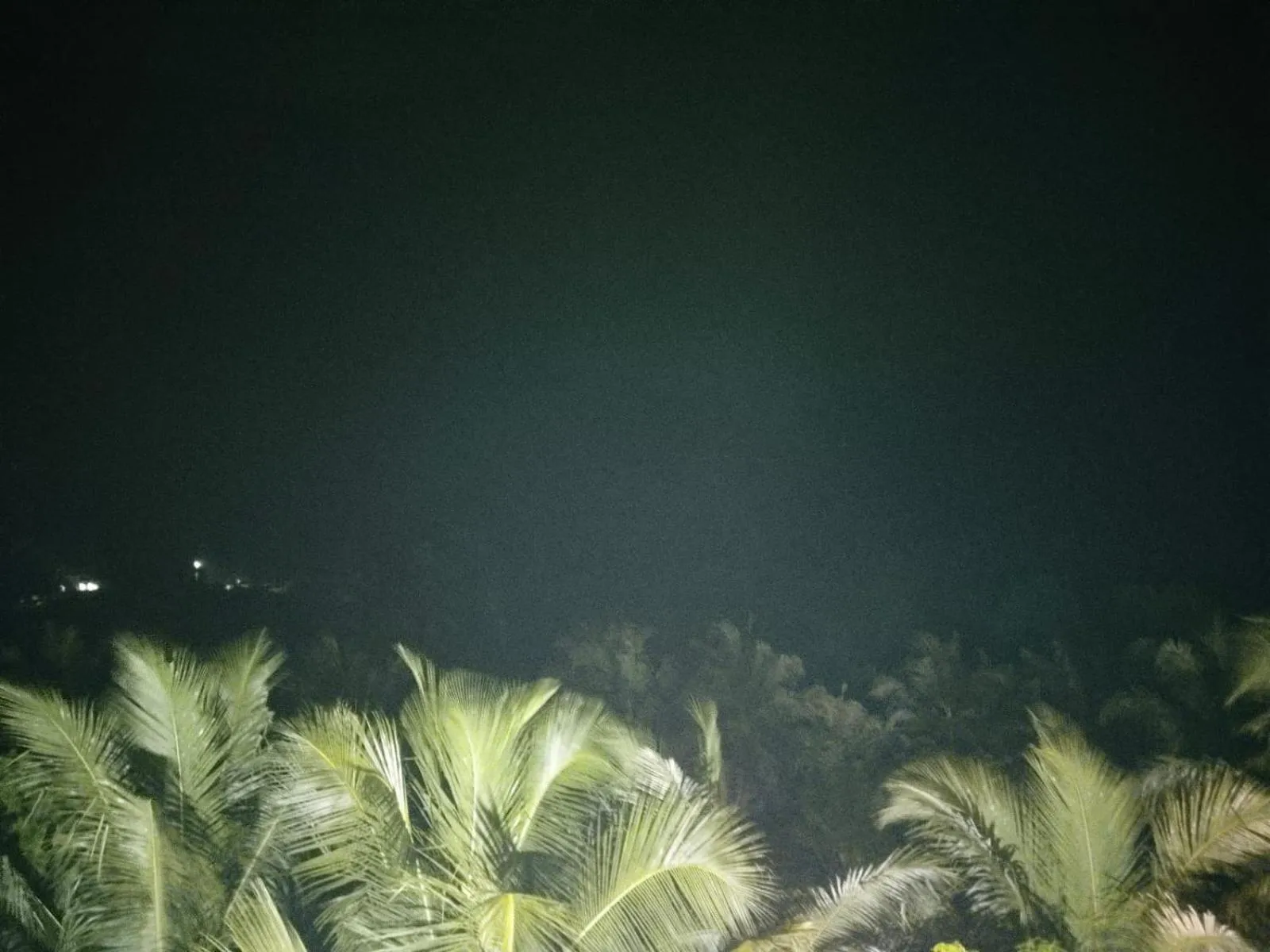 Octagon Beach Resort Pondicherry