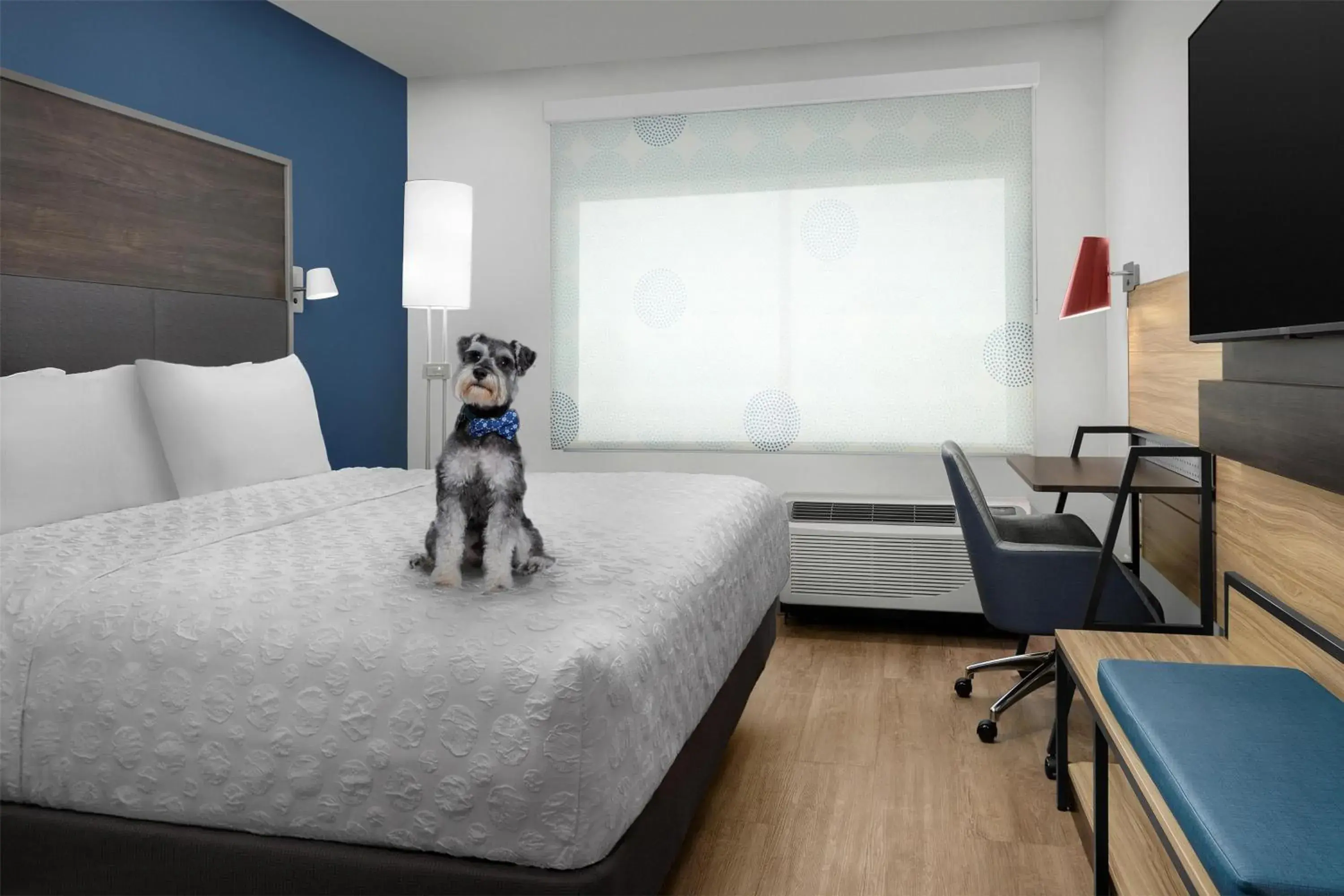 Photo of the whole room, Bed in Tru By Hilton Joliet Plainfield Photo of the whole room, Bed in Tru By Hilton Joliet Plainfield