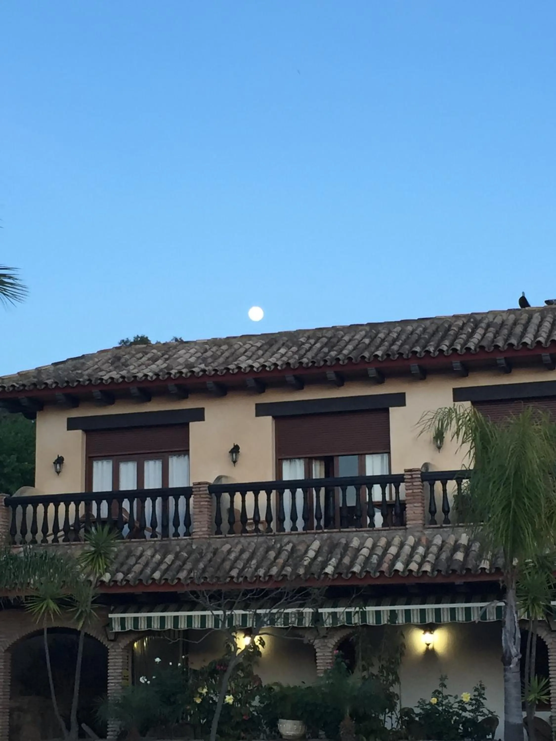 Balcony/Terrace in Dulce Nombre Hotel - Apartamentos