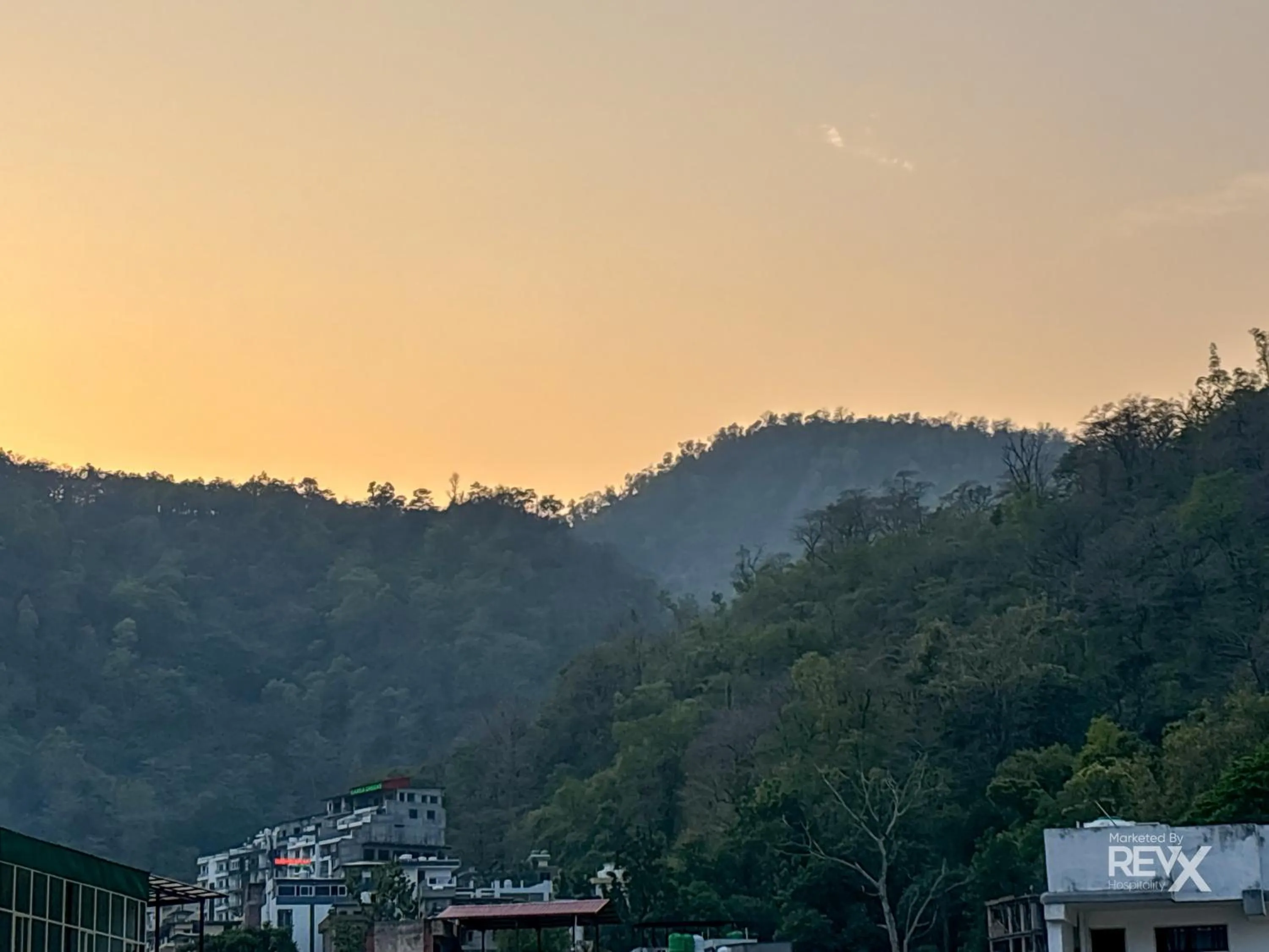 Day in Oak Leaf Hotel