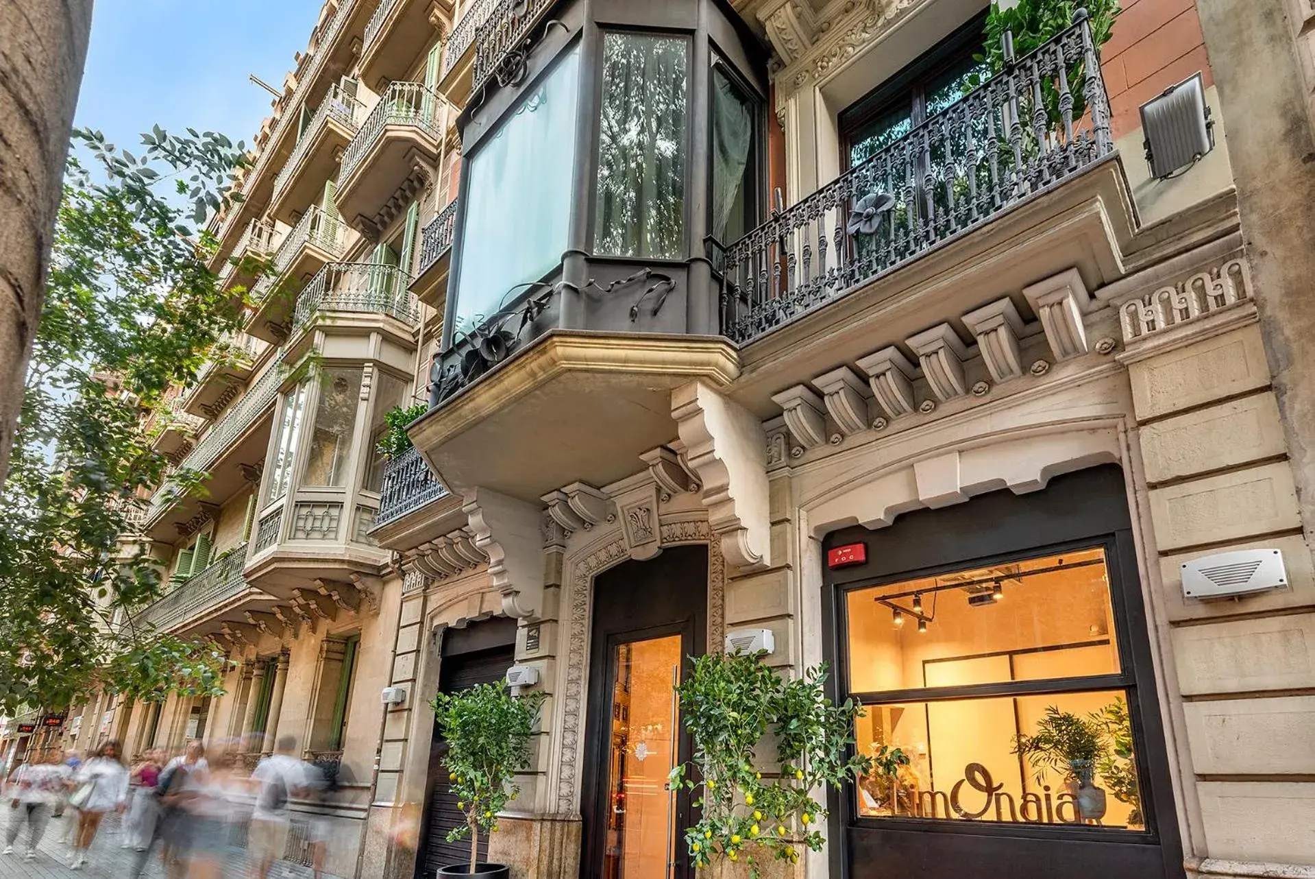 Property building in Limonaia Property building in Limonaia