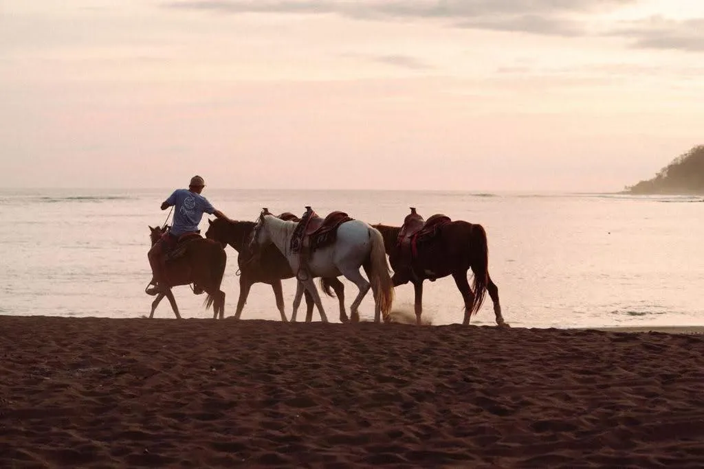 Activities in Sansara Surf Yoga & Resort