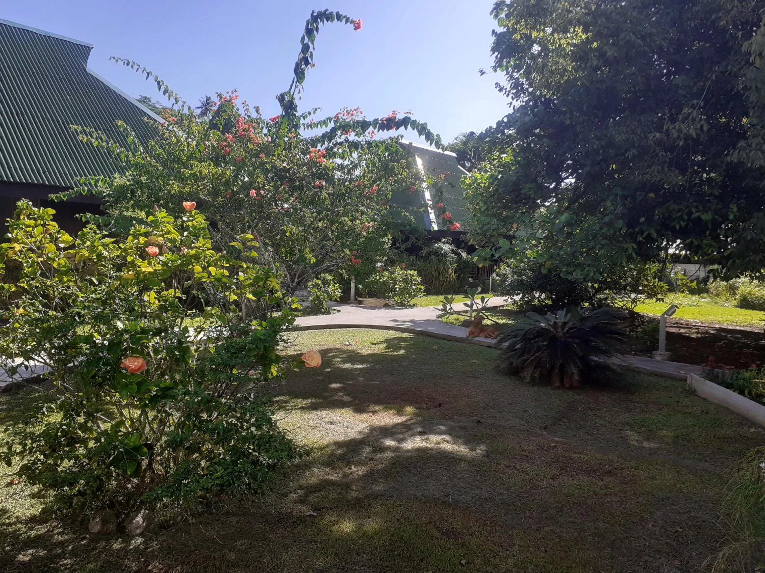 Garden in Pension Les Trois Cascades