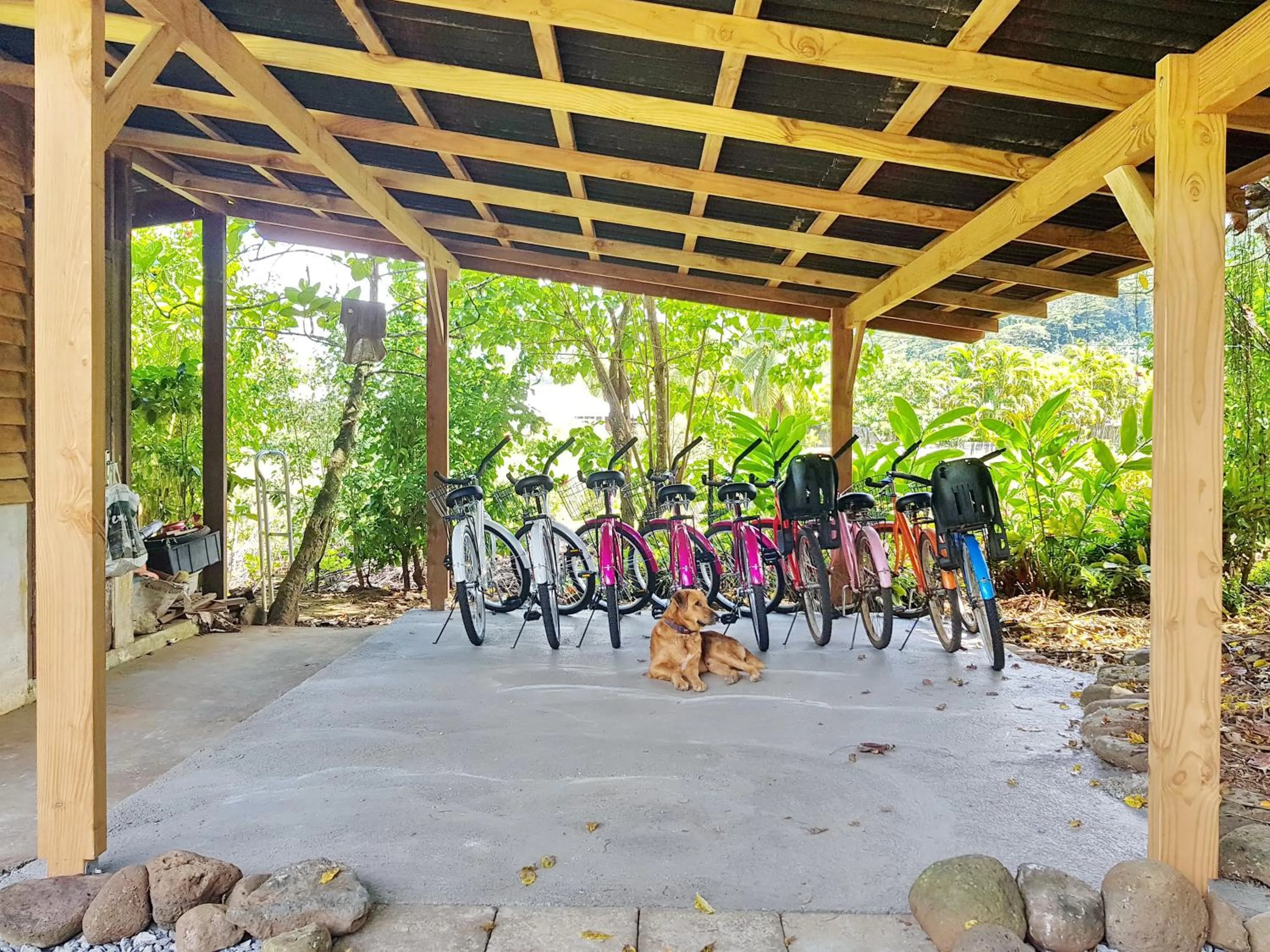 Fitness centre/facilities in Pension Les Trois Cascades