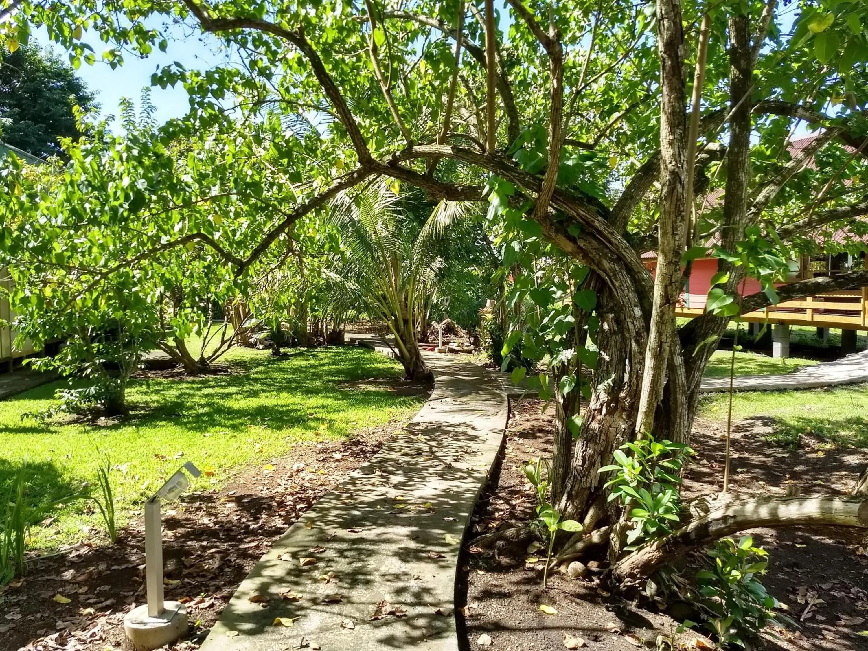 Garden in Pension Les Trois Cascades
