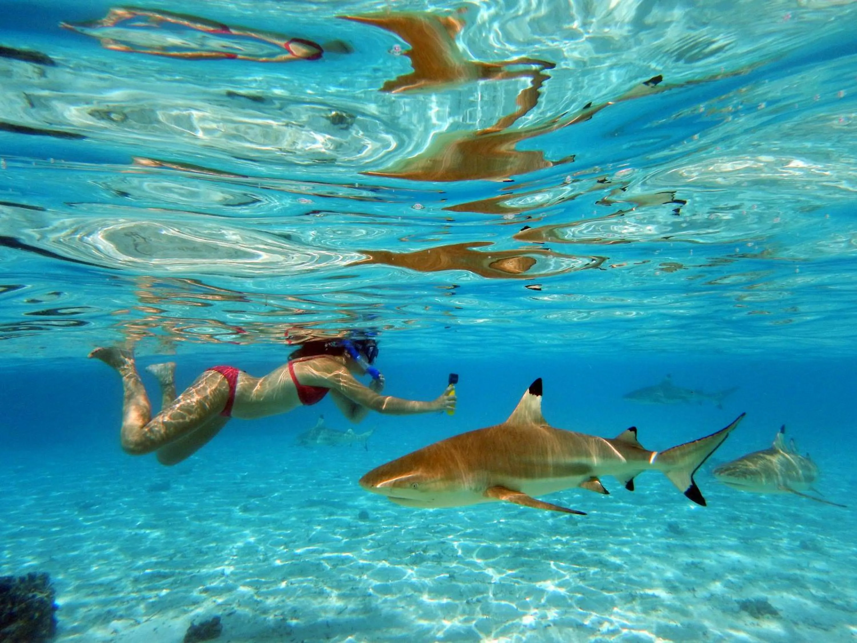 Natural landscape in Pension Les Trois Cascades