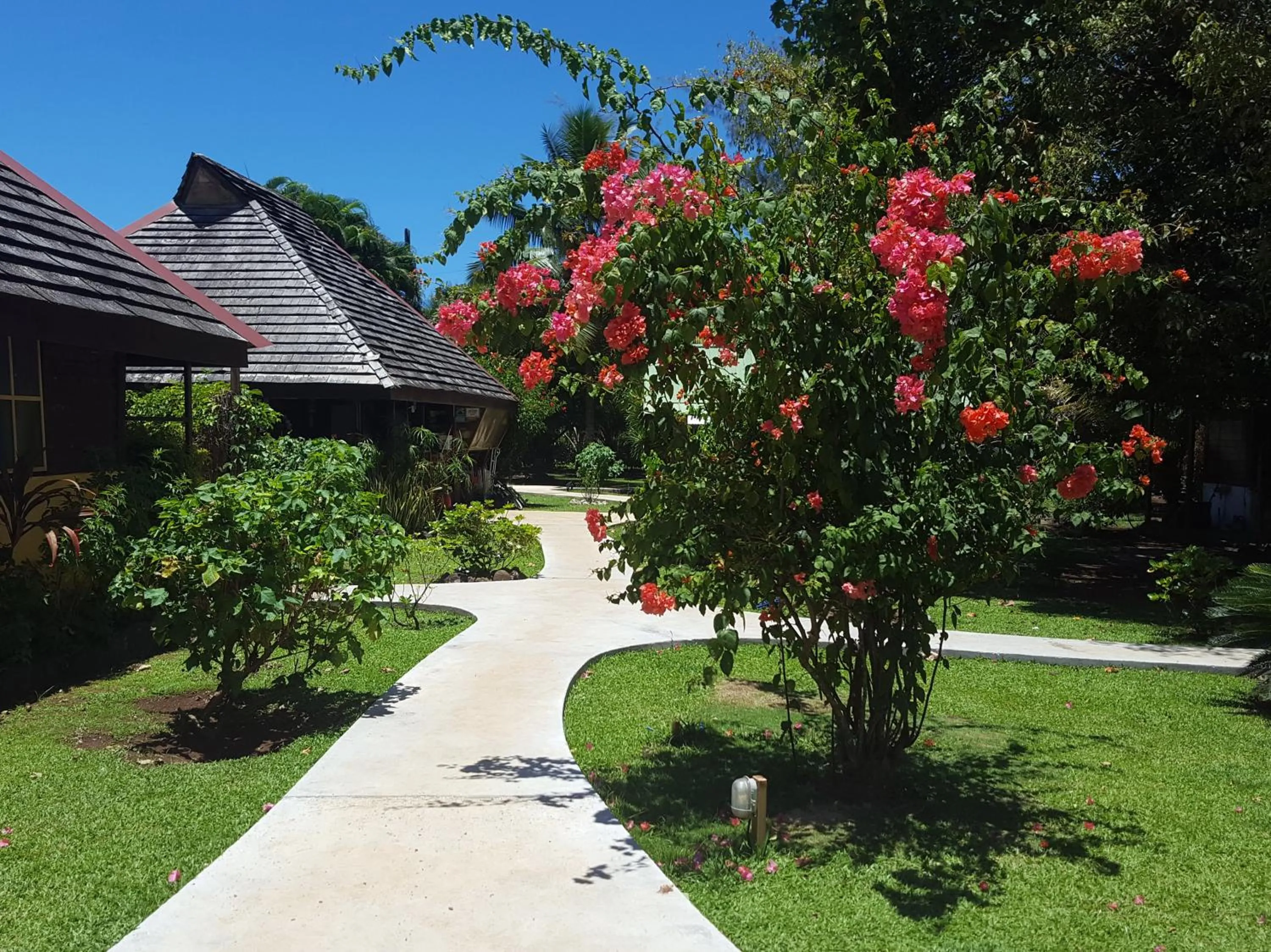 Garden in Pension Les Trois Cascades