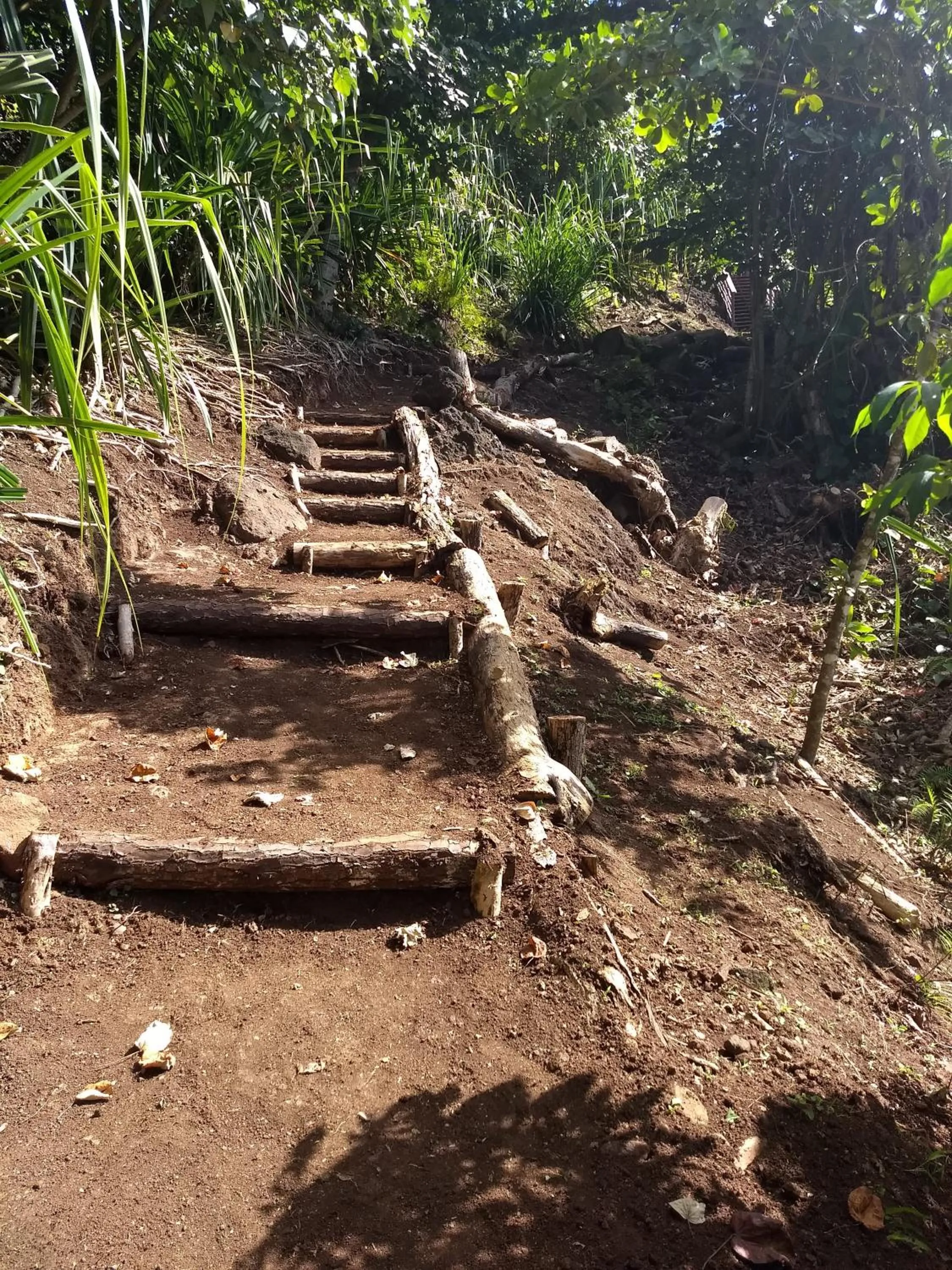 View (from property/room) in Pension Les Trois Cascades