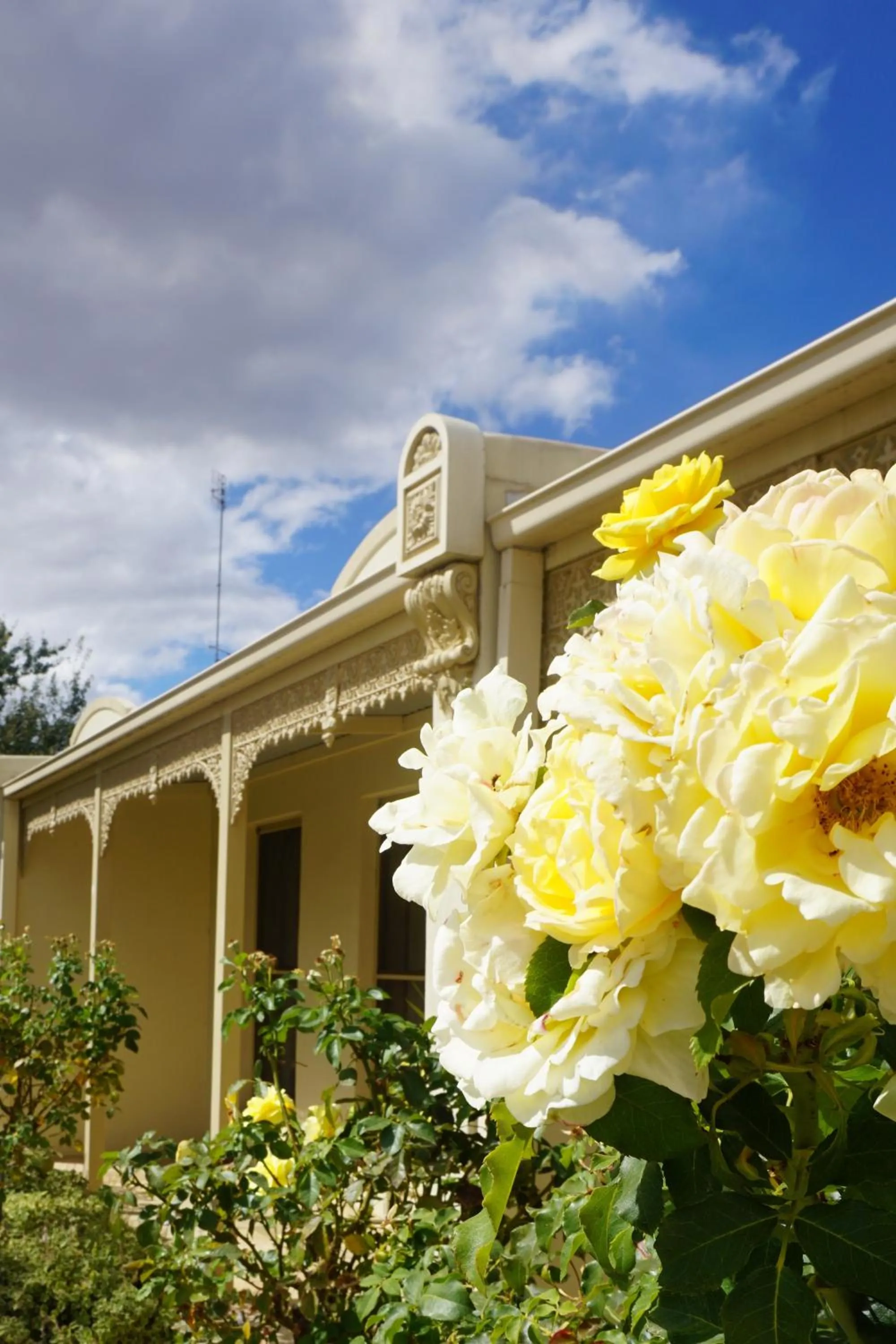 Facade/entrance in Acacia Terraces