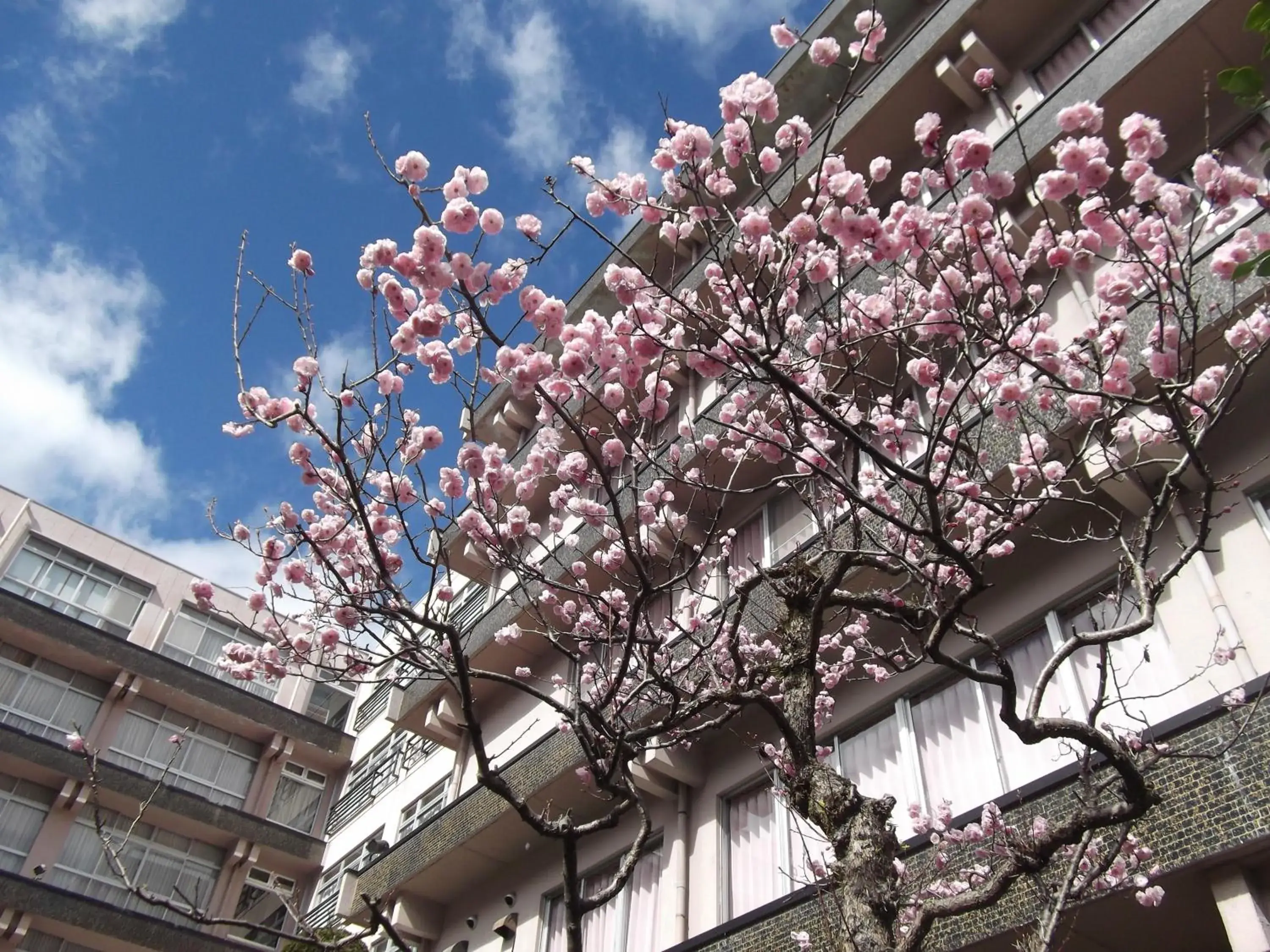 Property building in Bosenkan Property building in Bosenkan