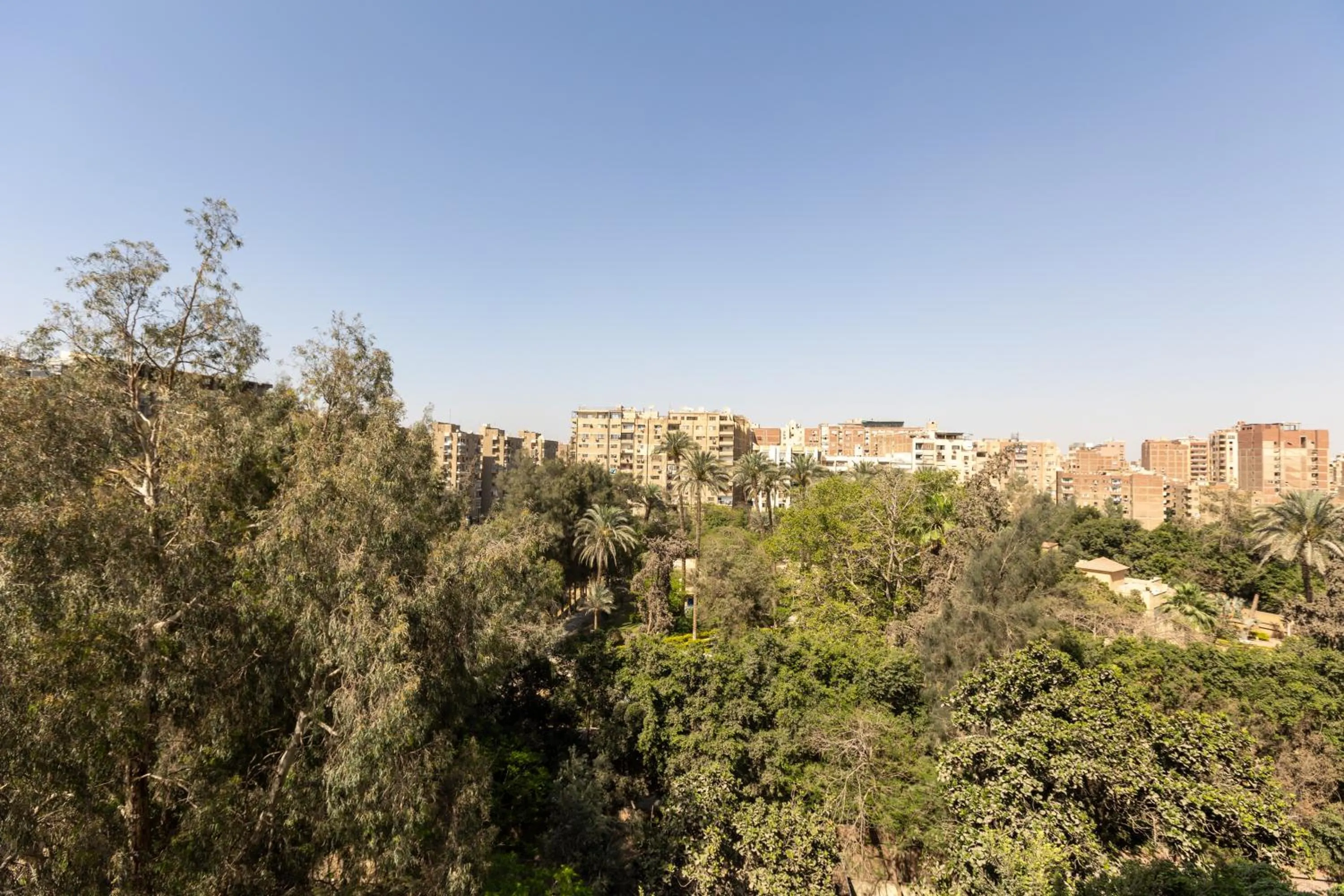 Garden in Pyramids Yard Hotel