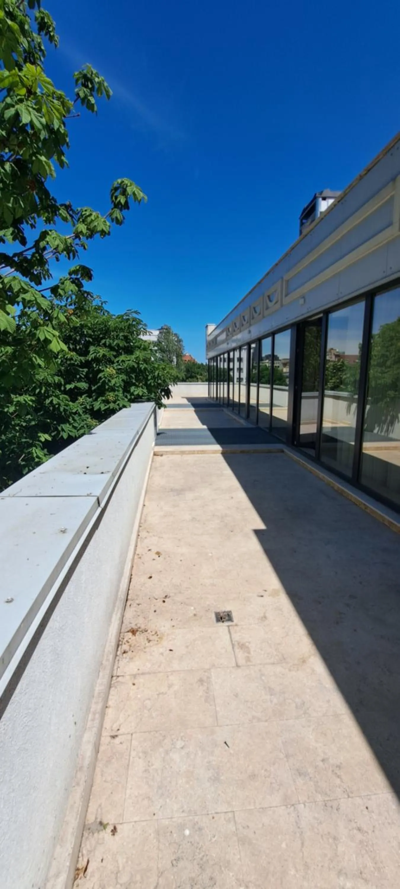 Day in Embassy Romana