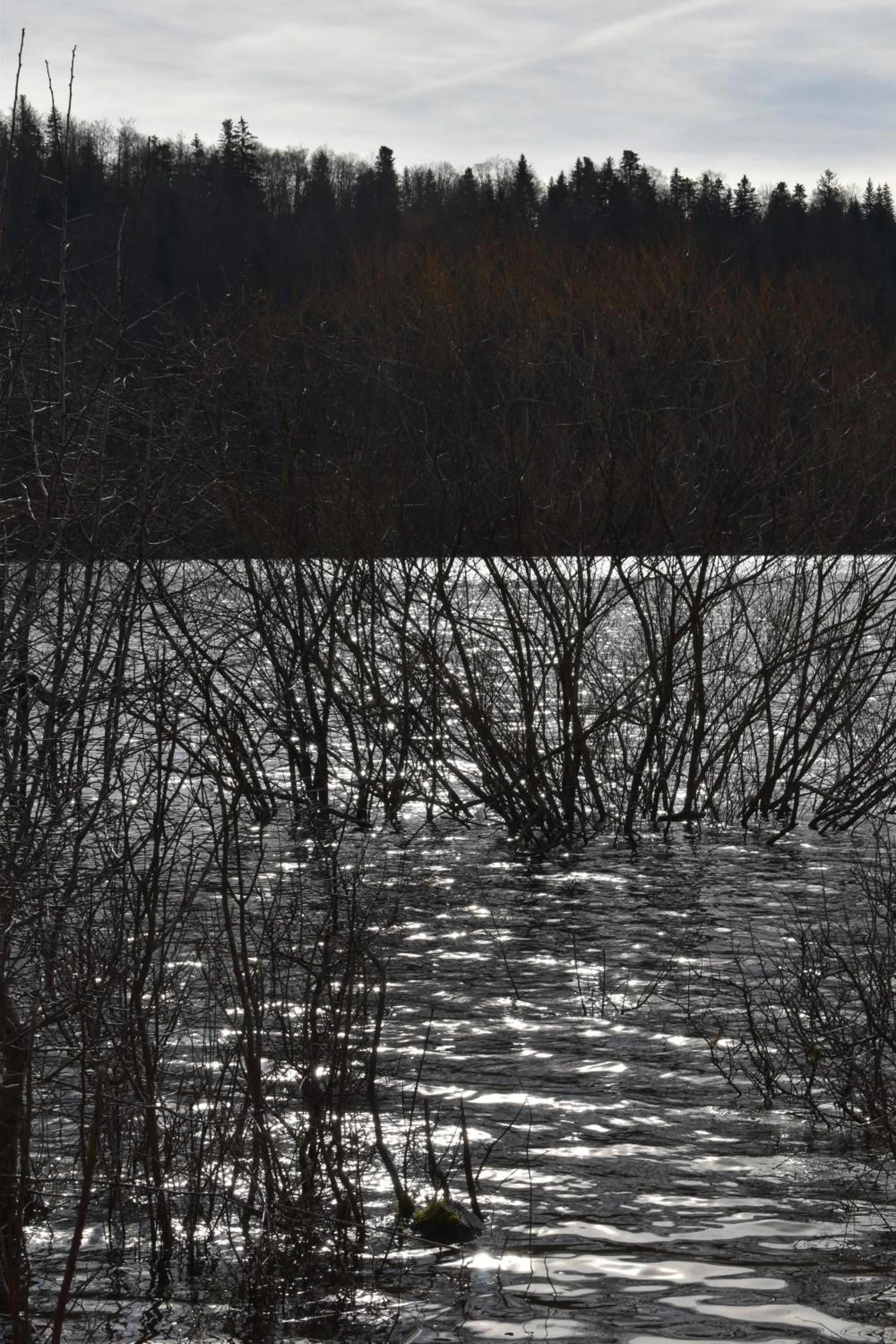 Natural landscape in Hôtel Le Mélèze