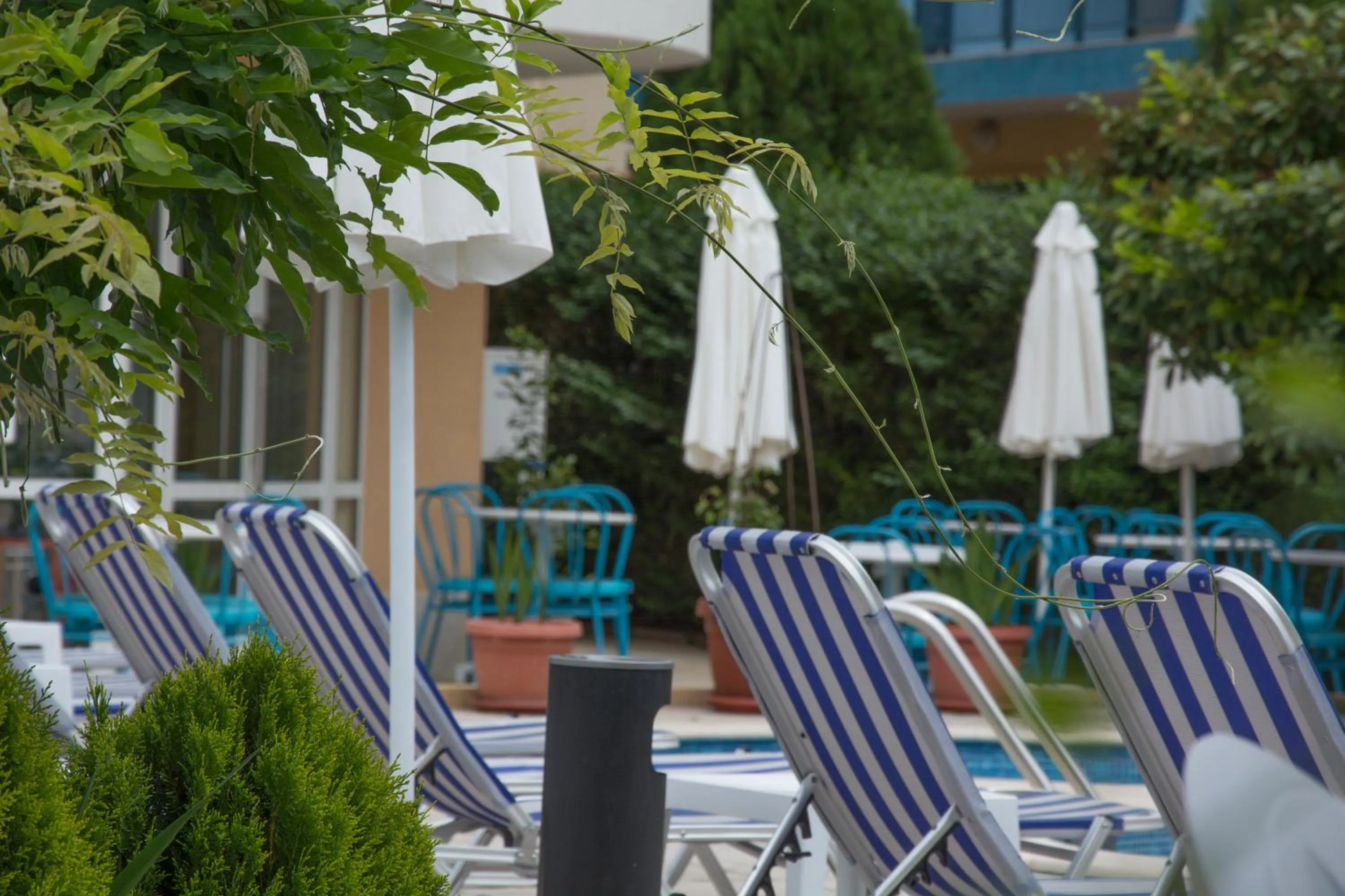 Swimming pool in Sunny Residence complex