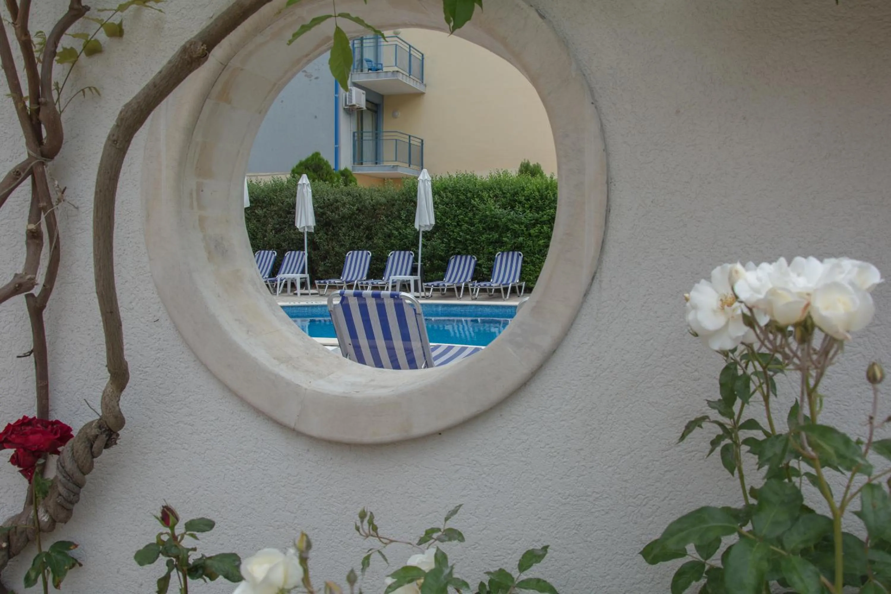 Swimming pool in Sunny Residence complex