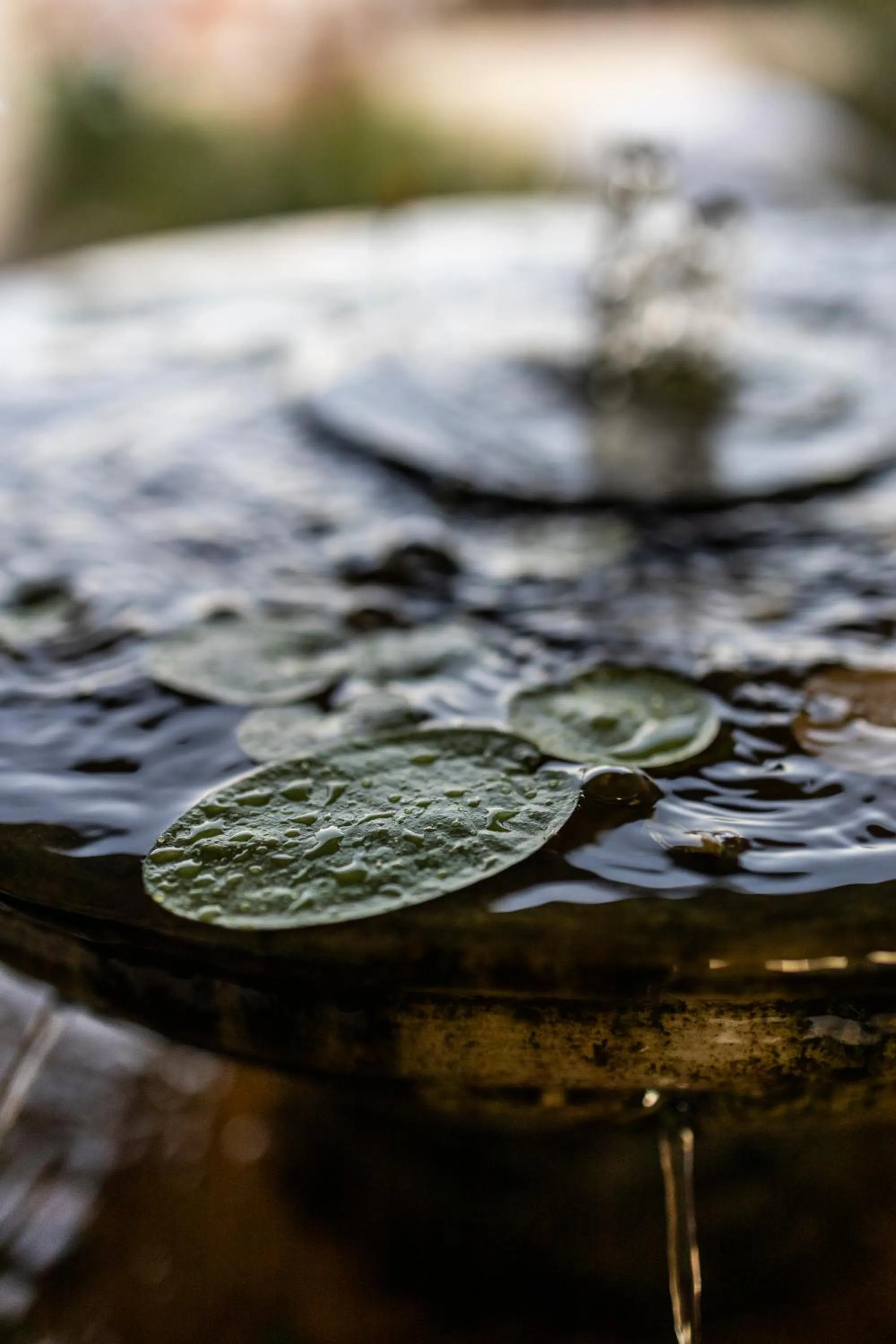 Facade/entrance in Pousada Ceará - Porto das Dunas