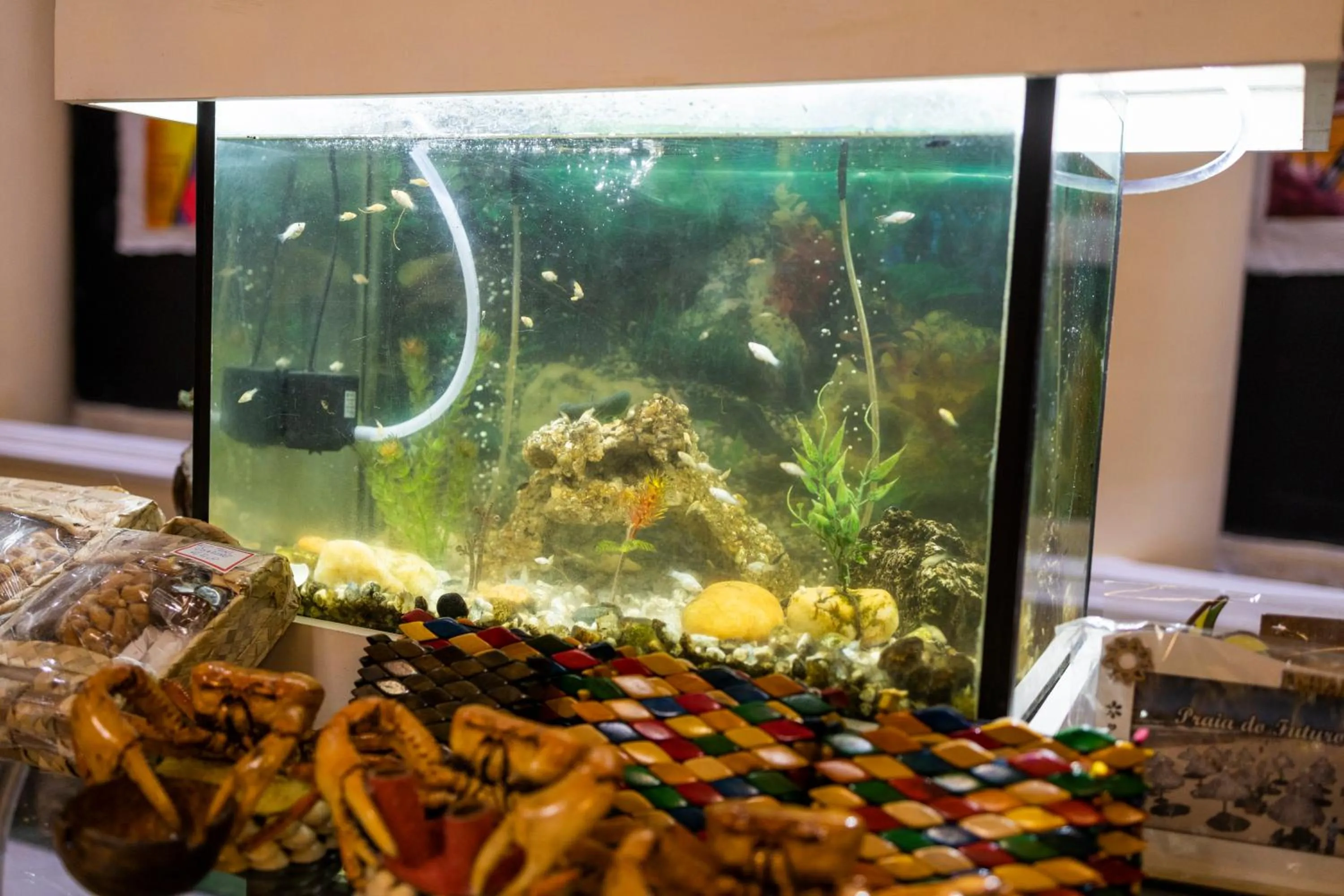 On-site shops in Pousada Ceará - Porto das Dunas